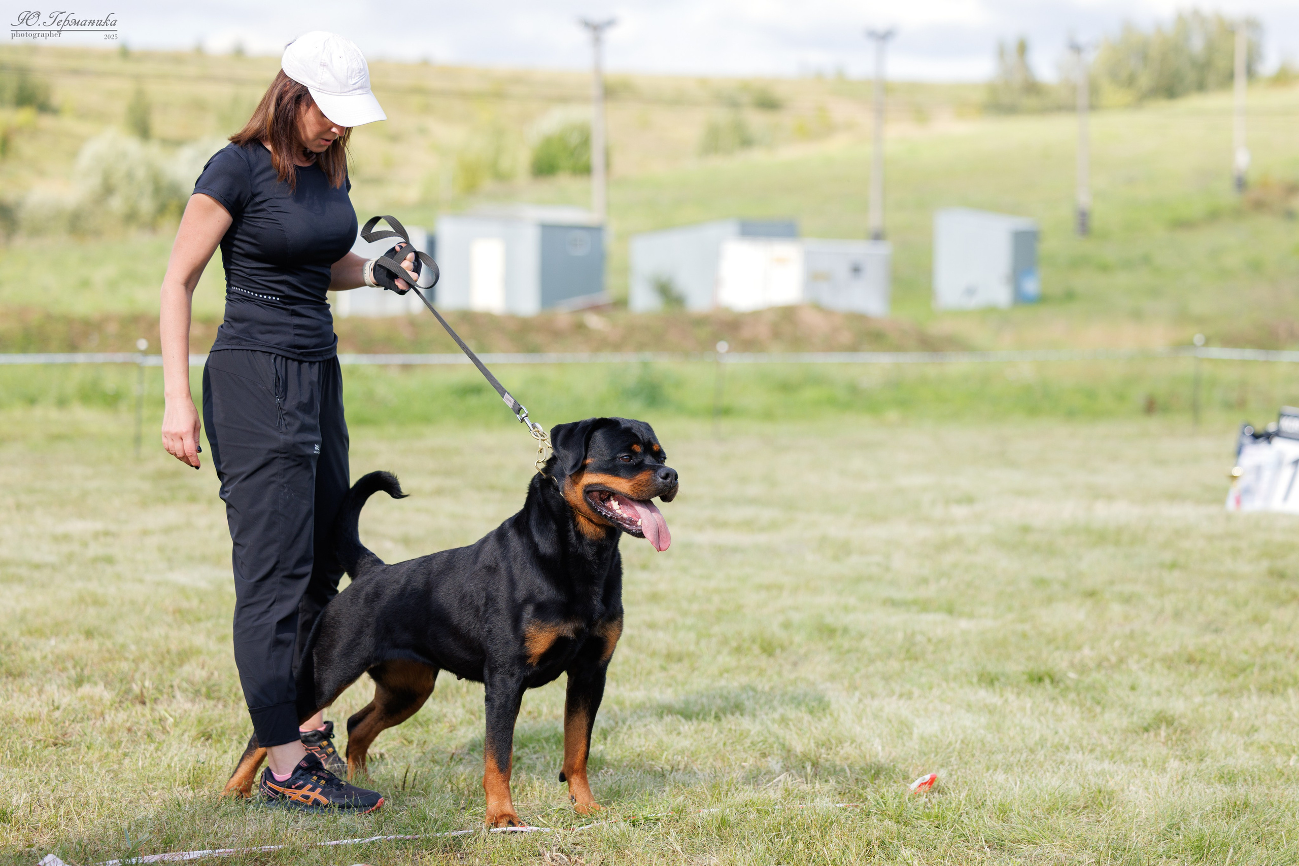 Рязань 2хмоно ротвейлеры 16-17.08.2025. Фотограф-анималист Юлия Германика