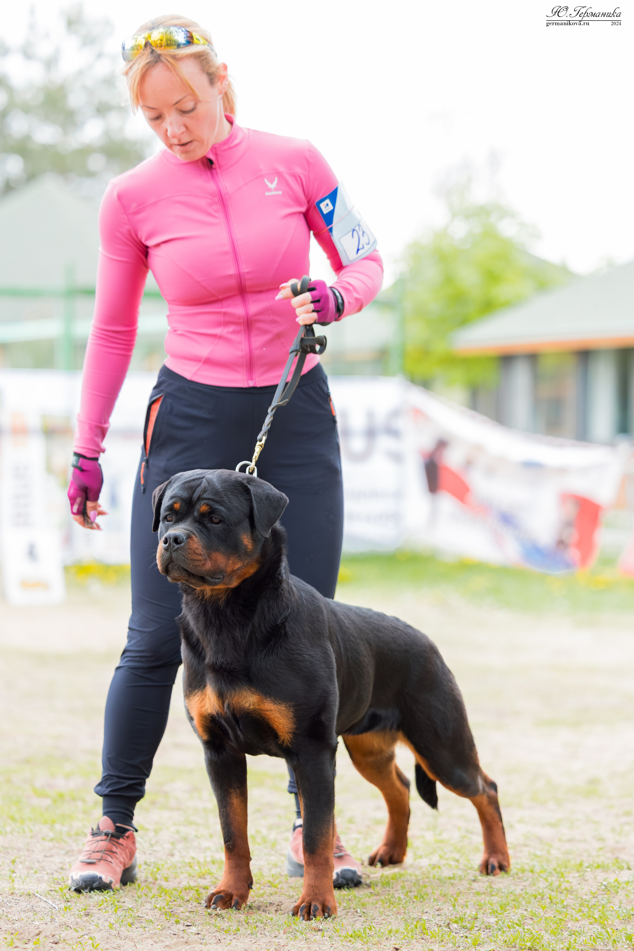 Саратов 2 х моно ротвейлеров 28-29.04.2024. Фотограф-анималист Юлия Германика