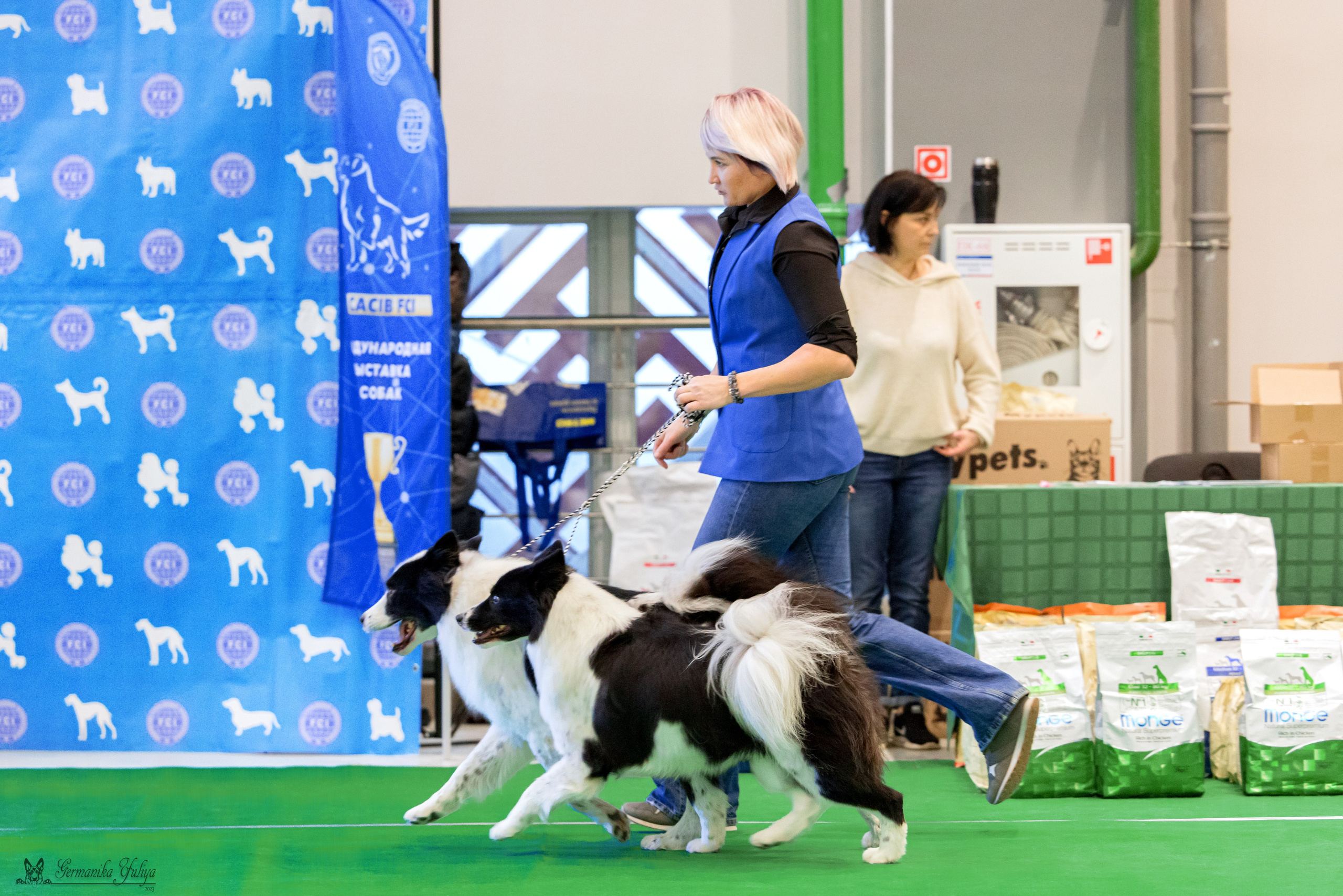 Минск 25-26.11.2023. Фотограф-анималист Юлия Германика