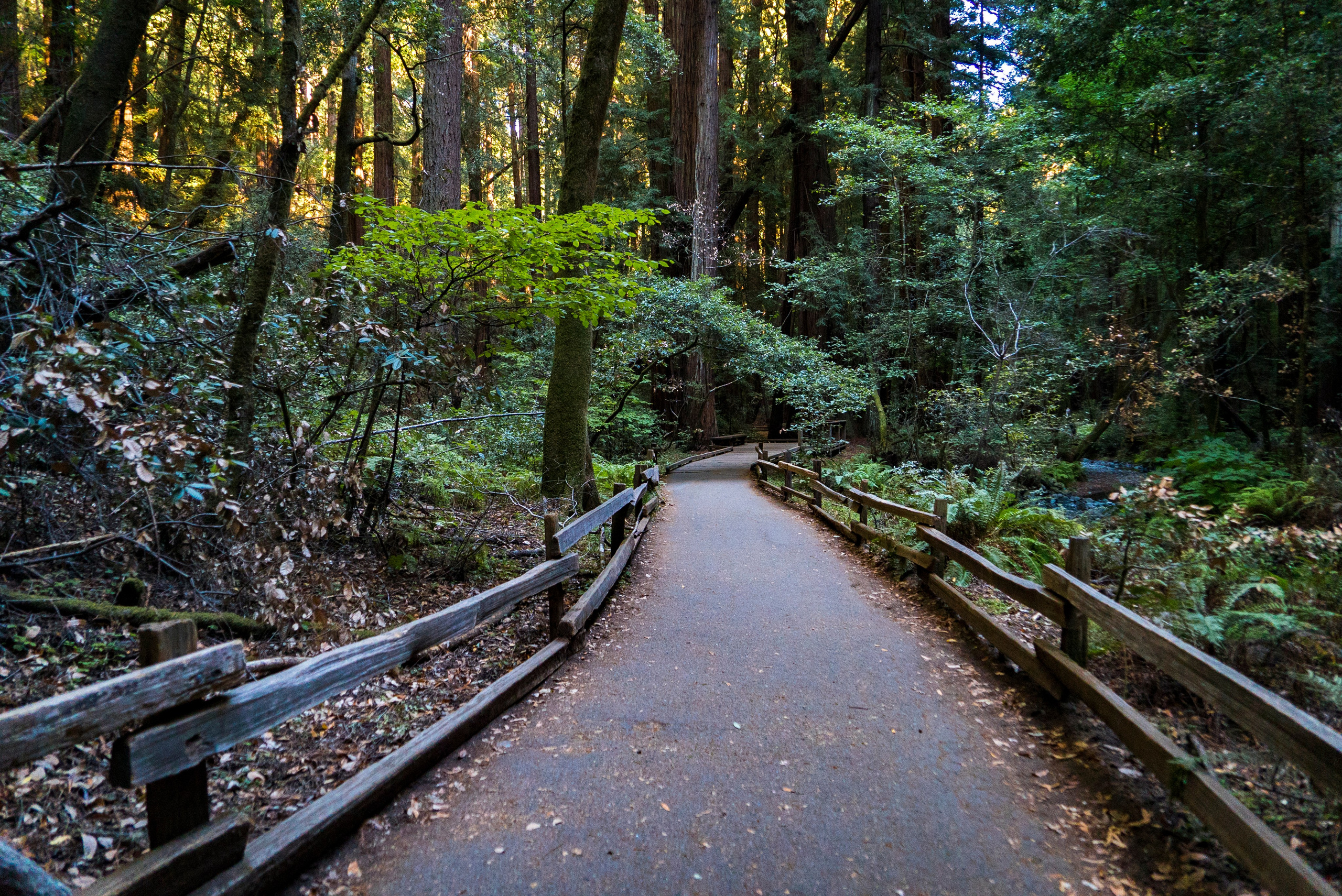 Природа. Василий Буйлов|Vasilii Builov