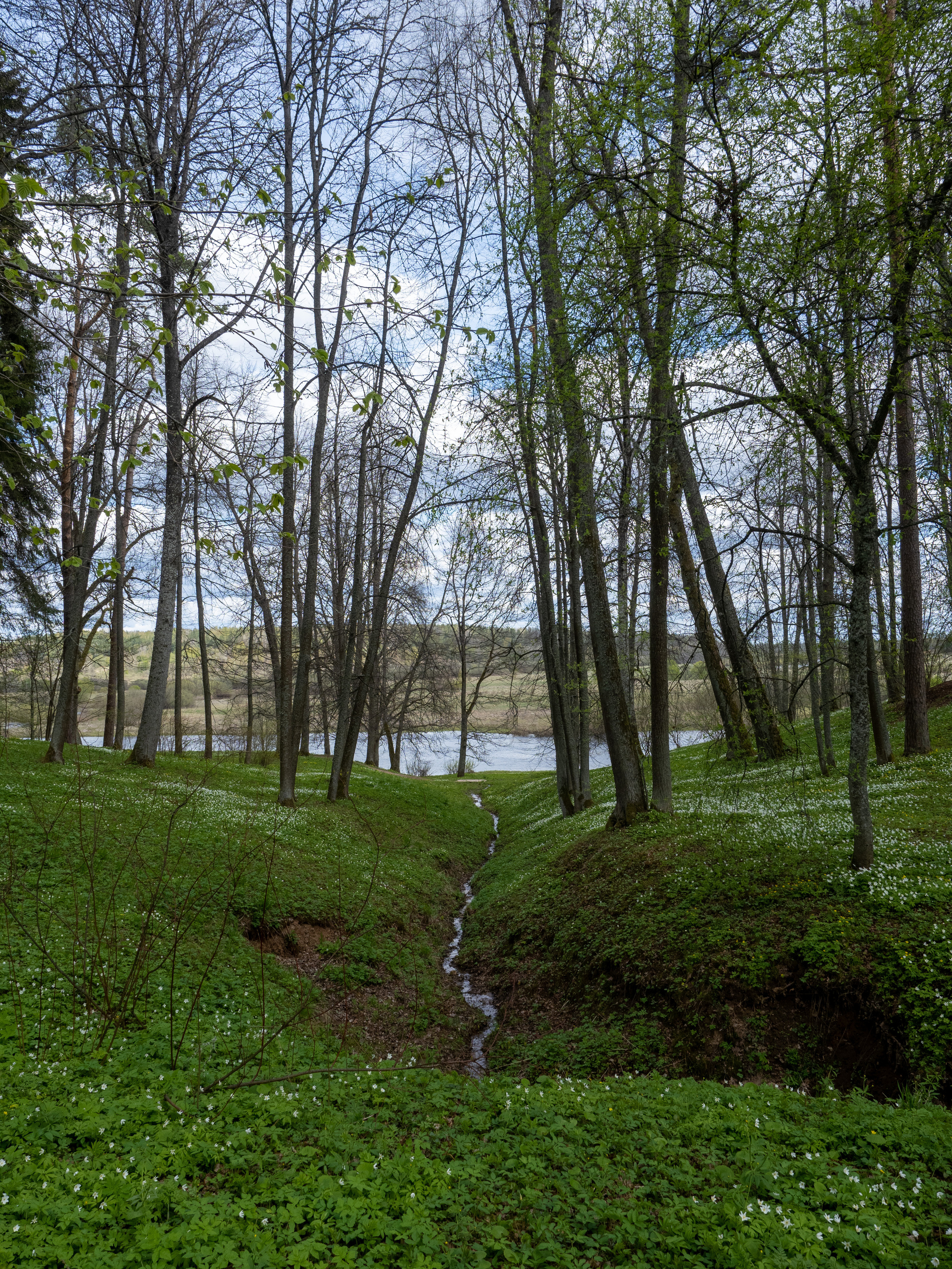 Пушкинские горы. Творческие сьемки
