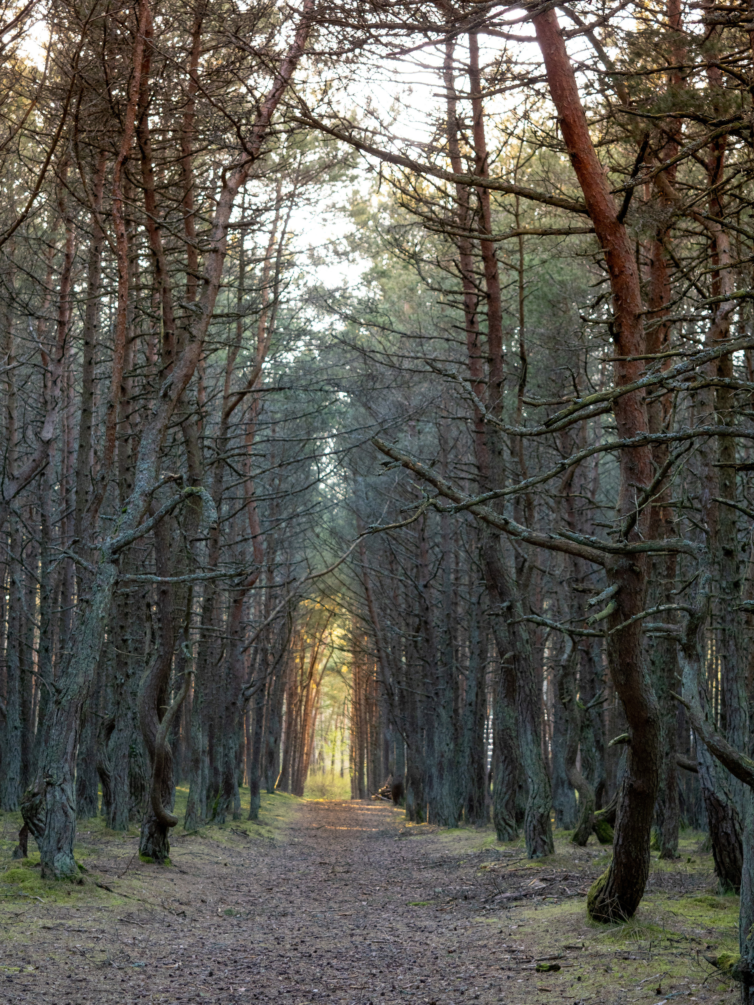 Калининград и окрестности. Творческие сьемки