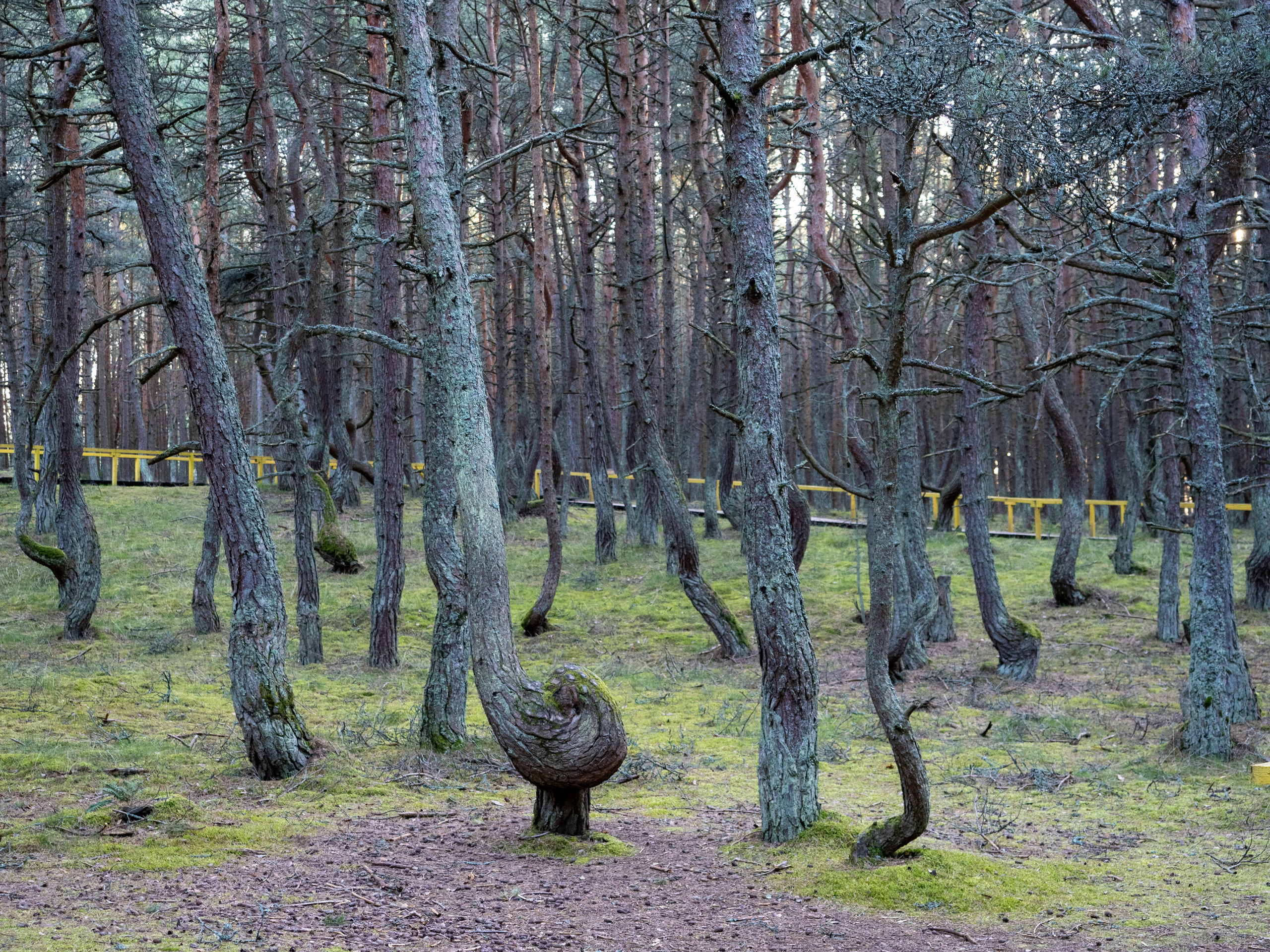 Калининград и окрестности. Творческие сьемки