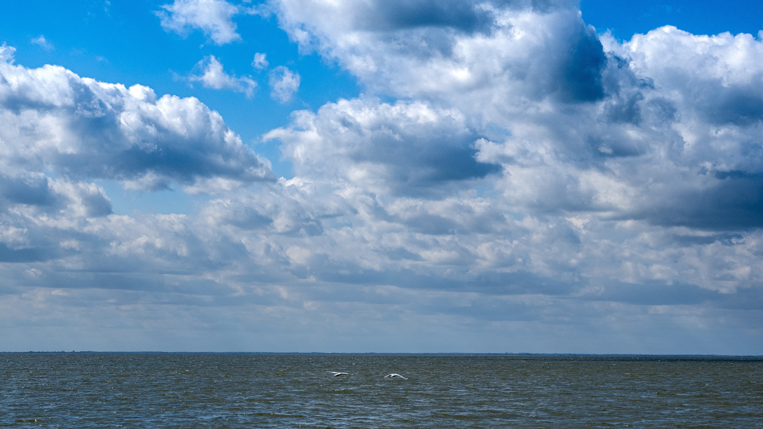 Калининград и окрестности. Творческие сьемки