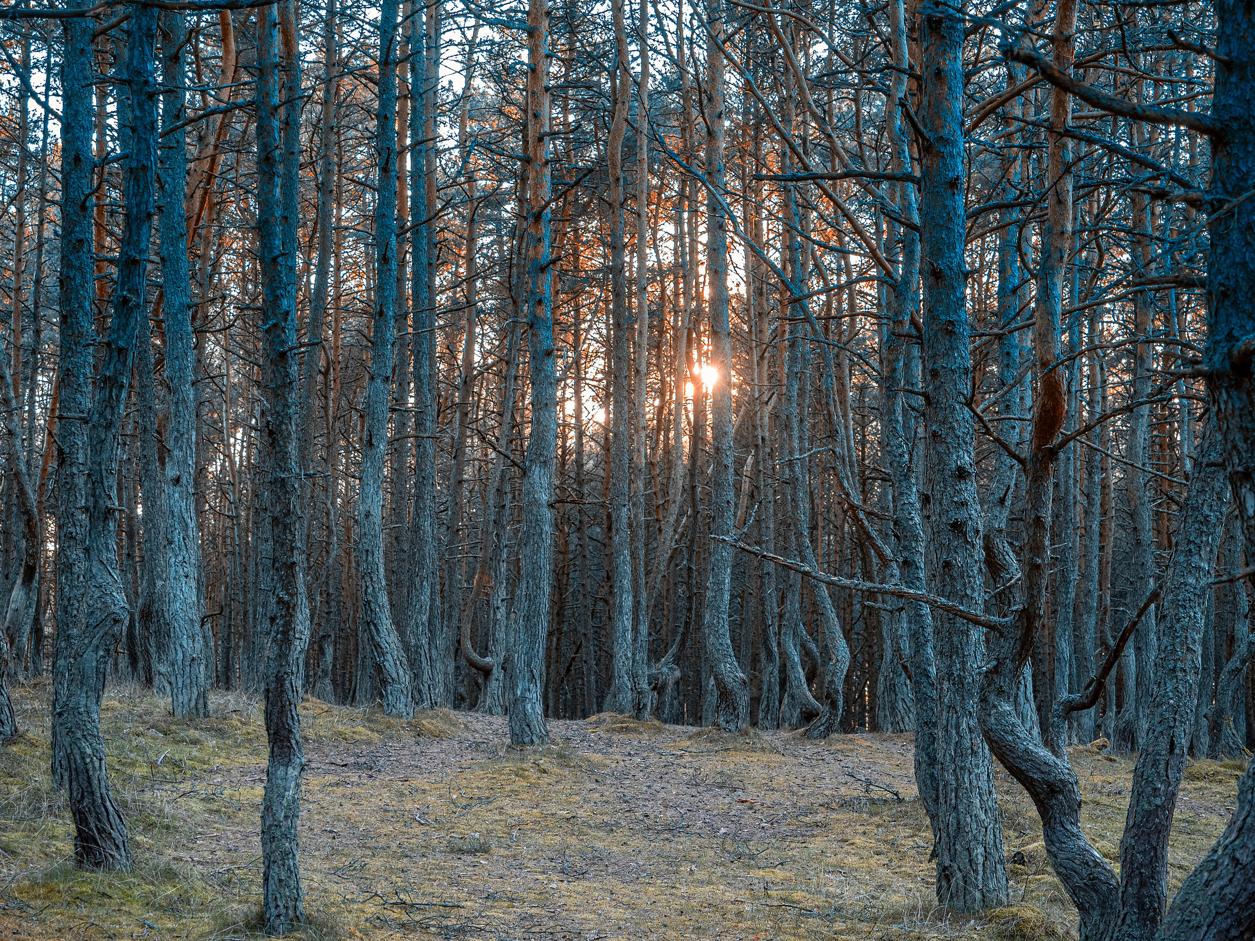 Калининград и окрестности. Творческие сьемки