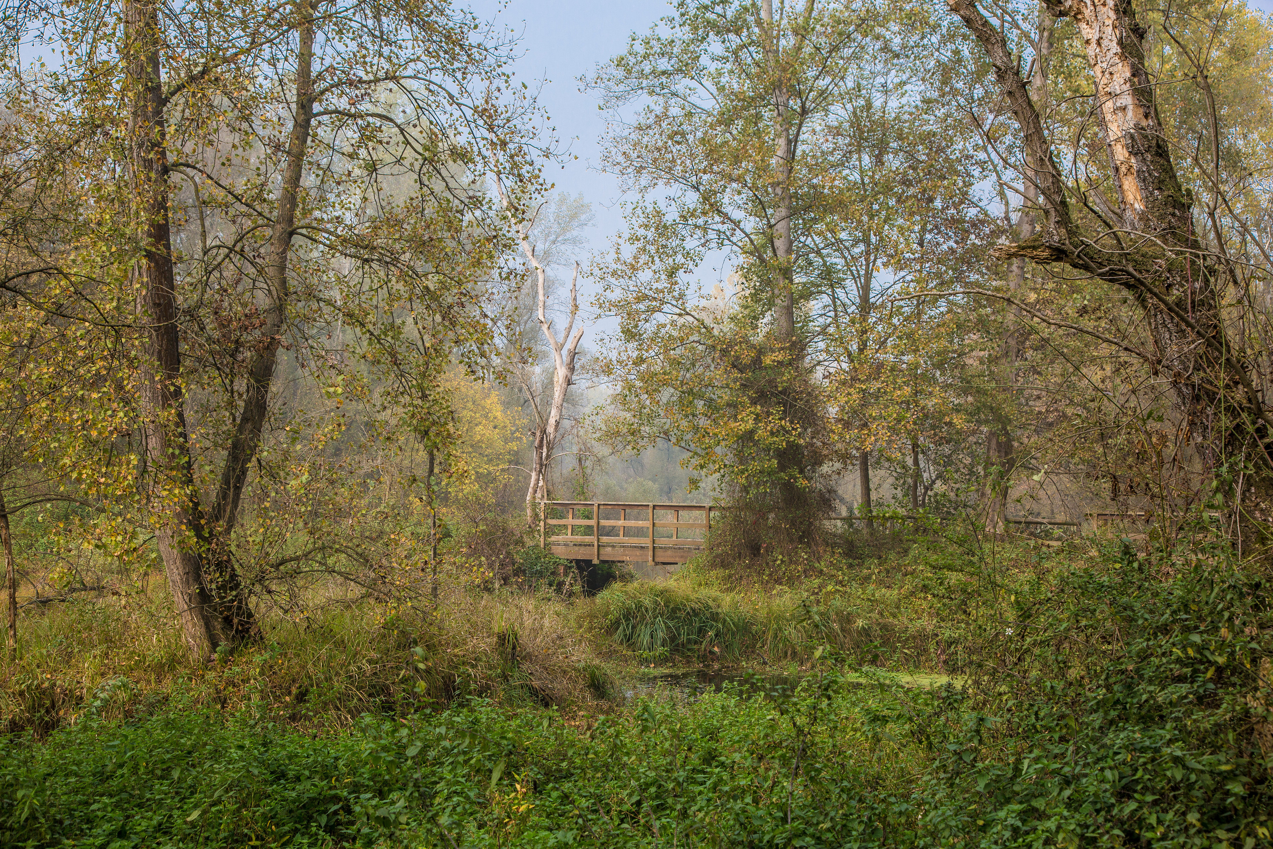 Италия. Творческие сьемки