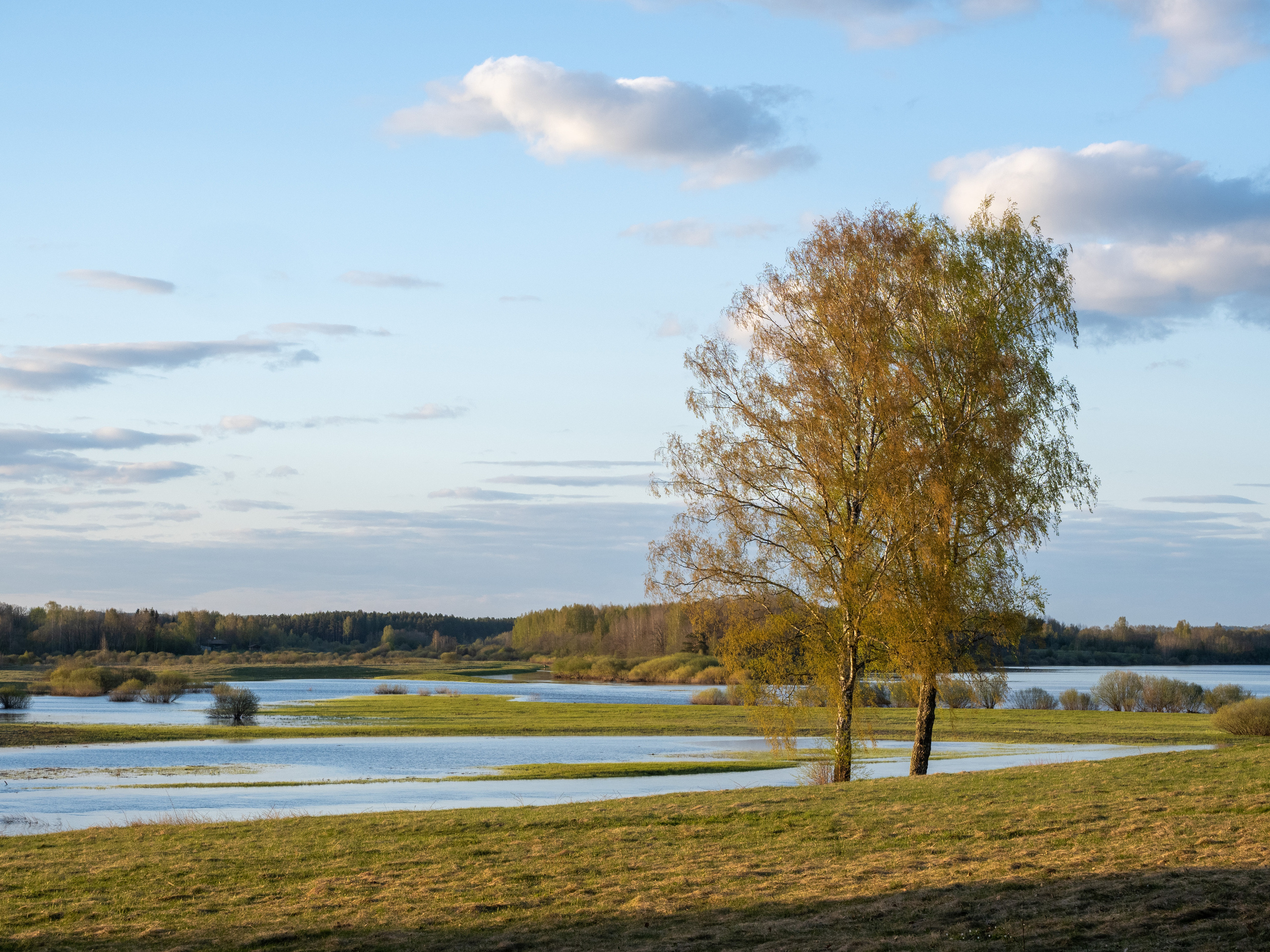 Пушкинские горы. Творческие сьемки