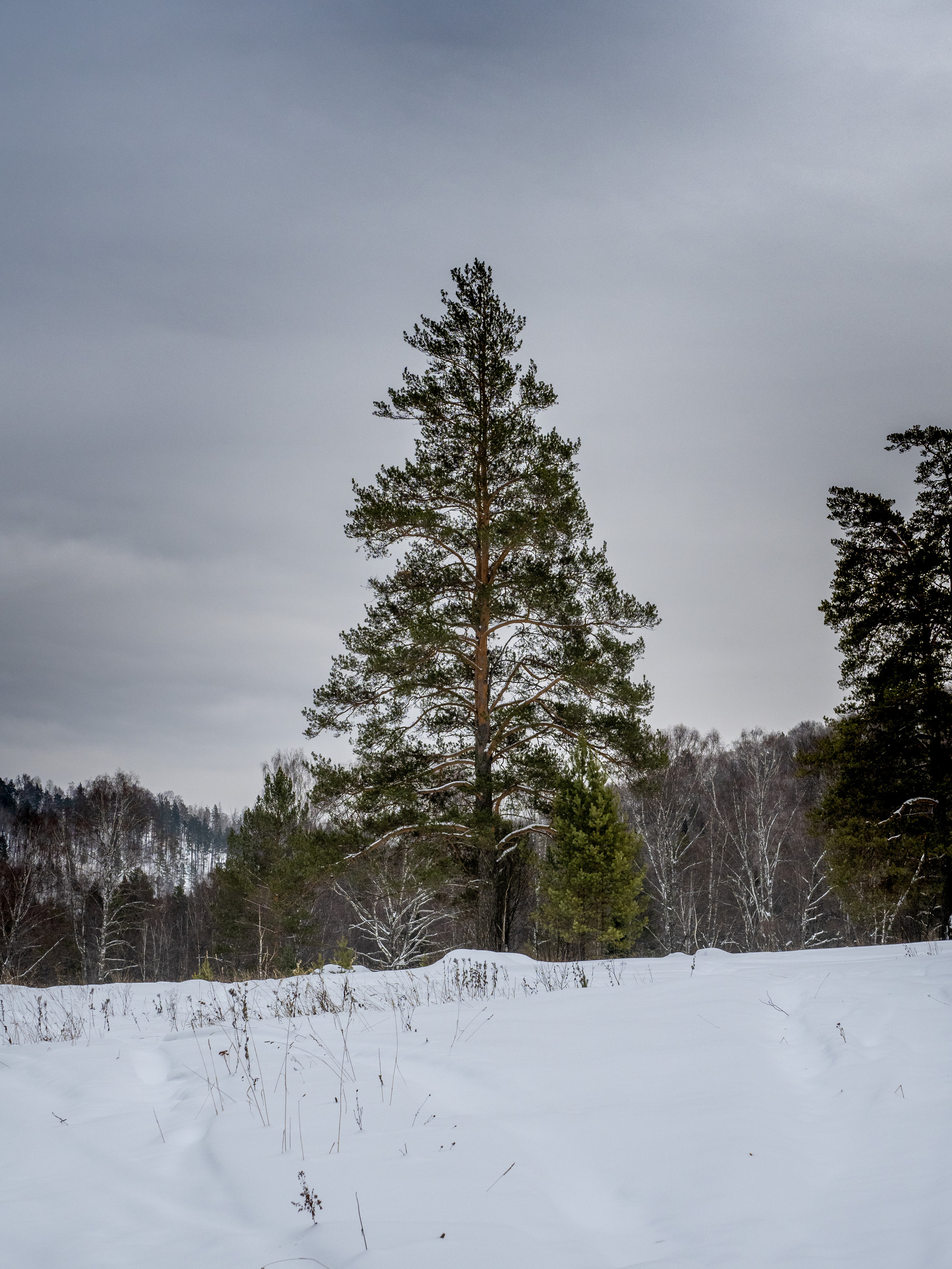Урал, Айгир. Творческие сьемки