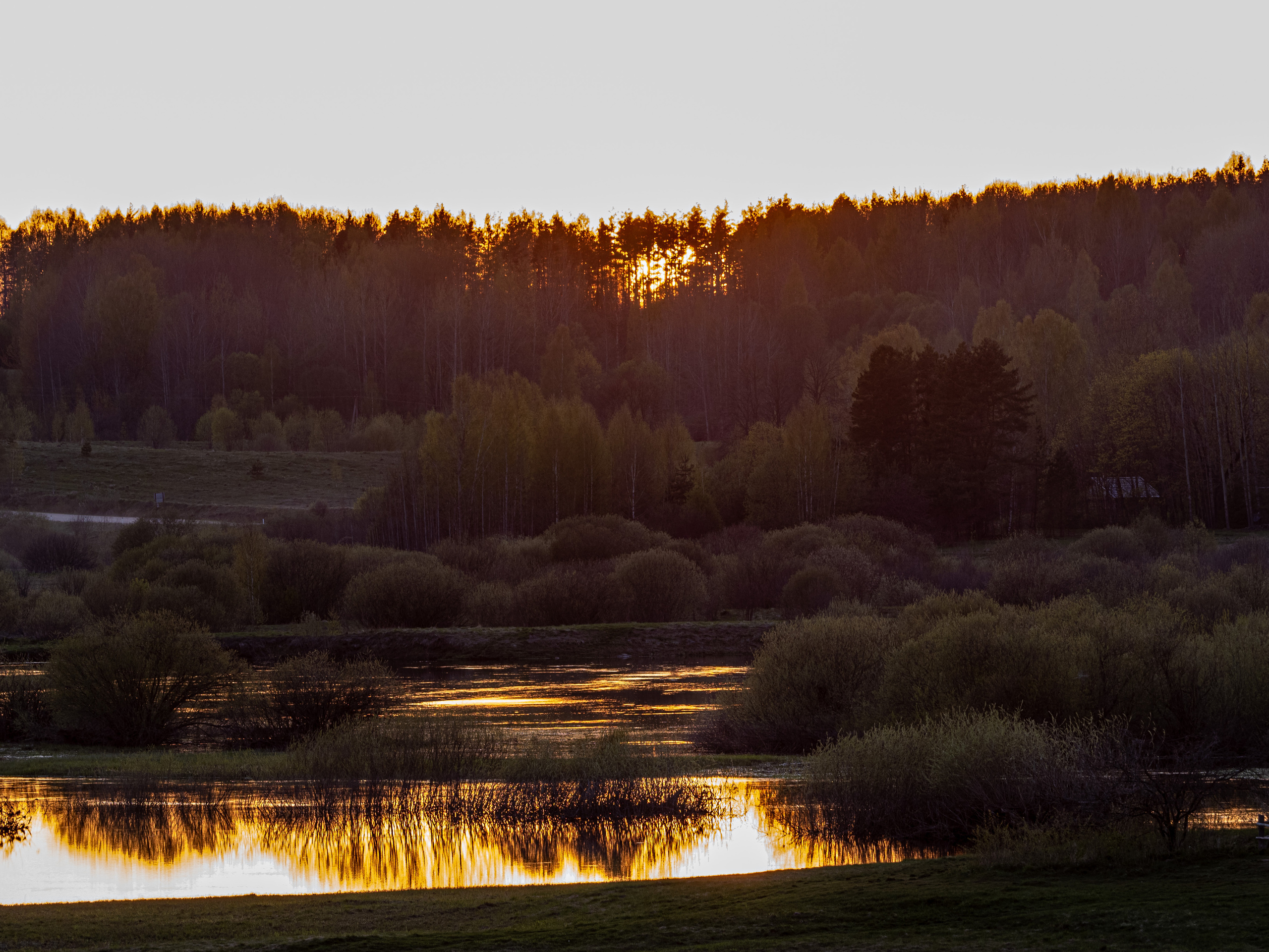 Пушкинские горы. Творческие сьемки