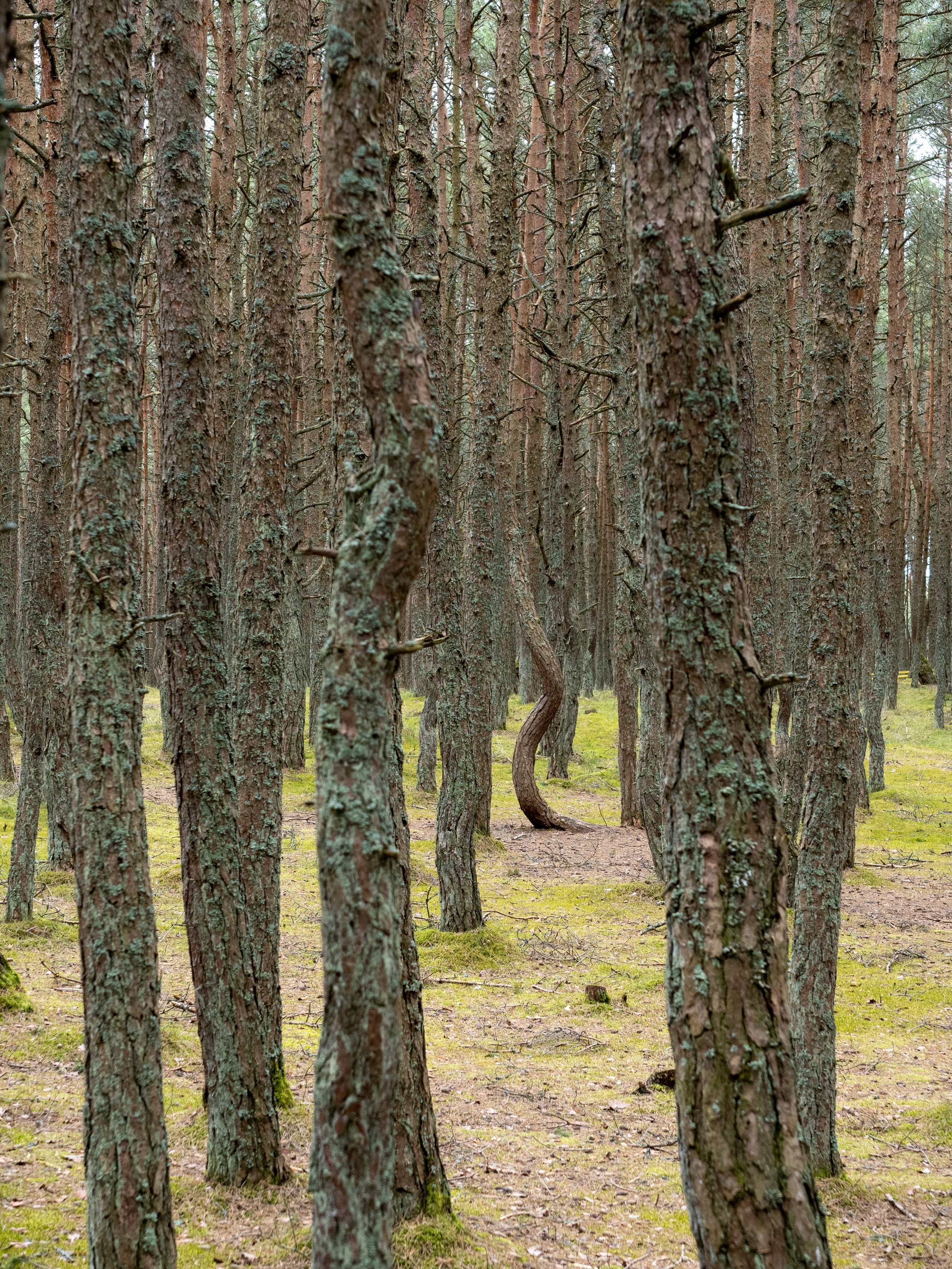 Калининград и окрестности. Творческие сьемки