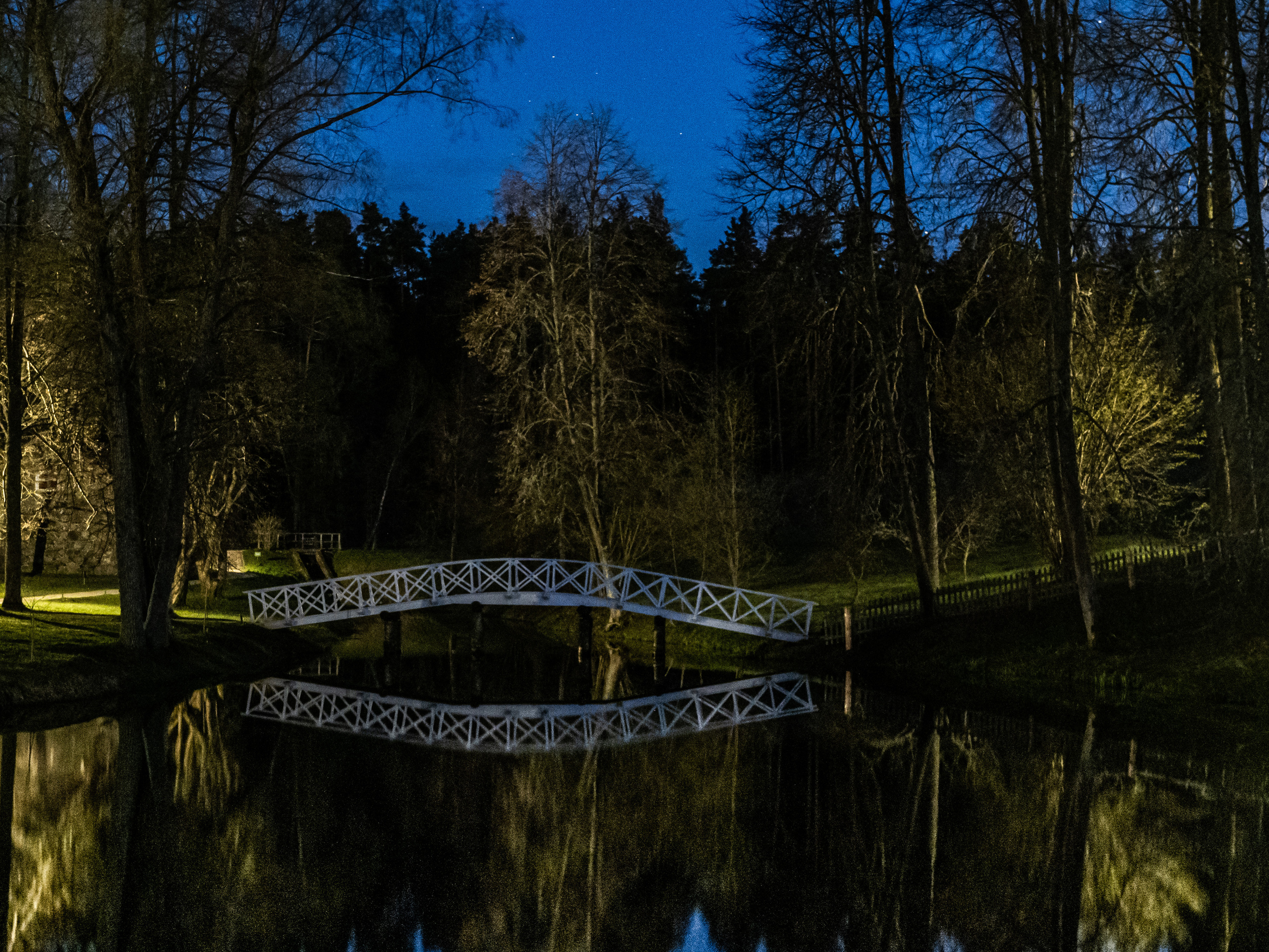 Пушкинские горы. Творческие сьемки