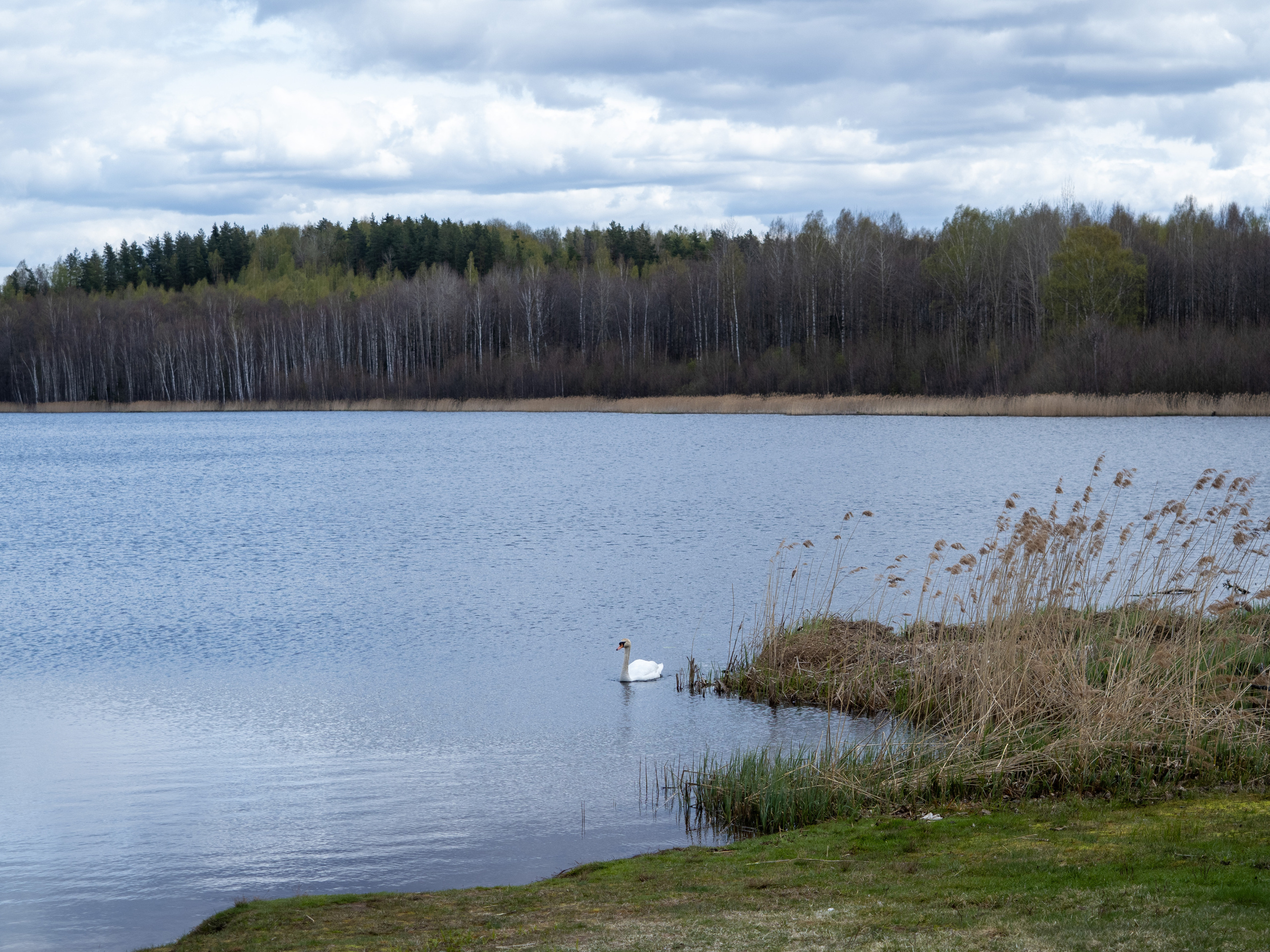 Пушкинские горы. Творческие сьемки