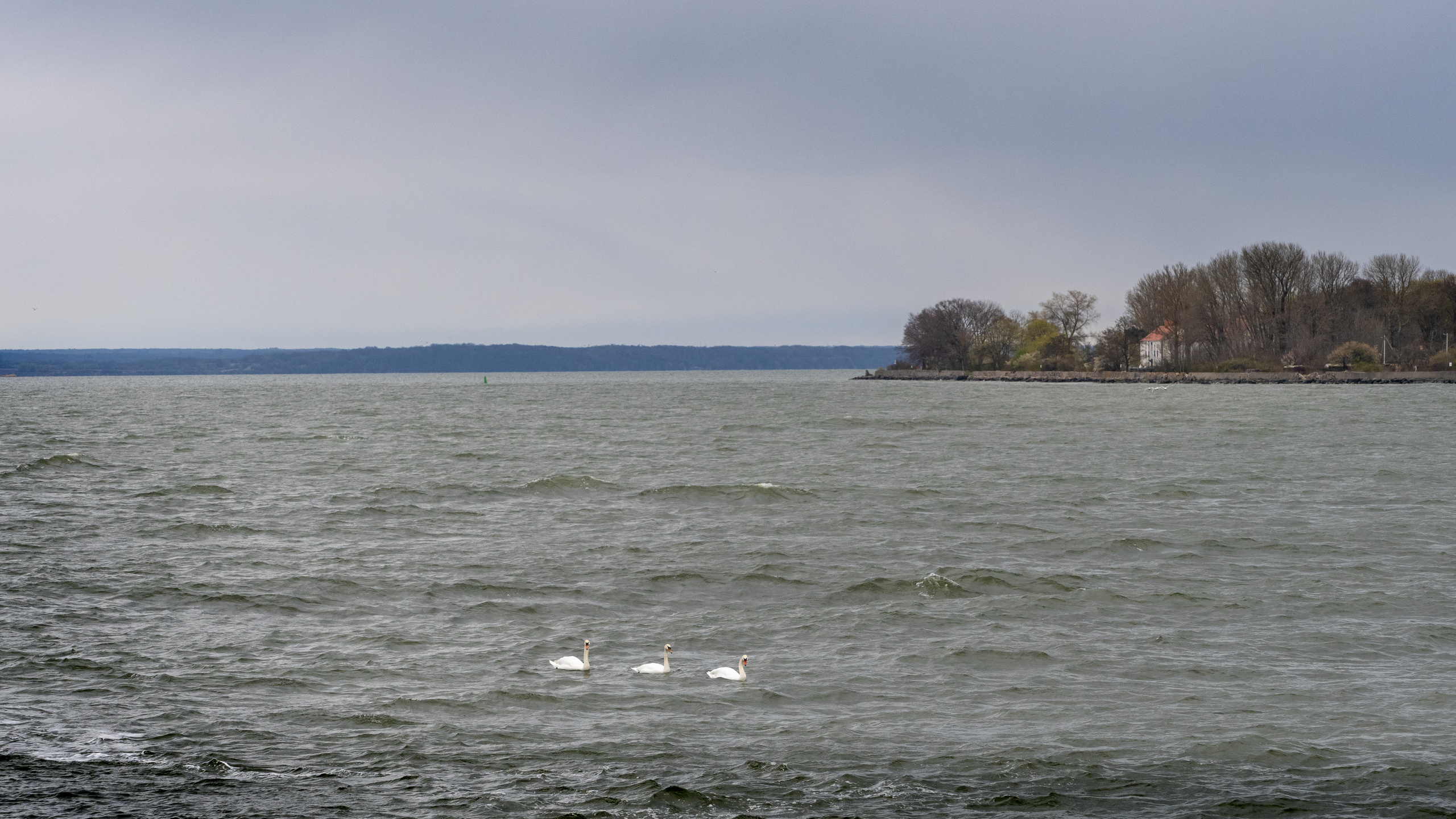 Калининград и окрестности. Творческие сьемки