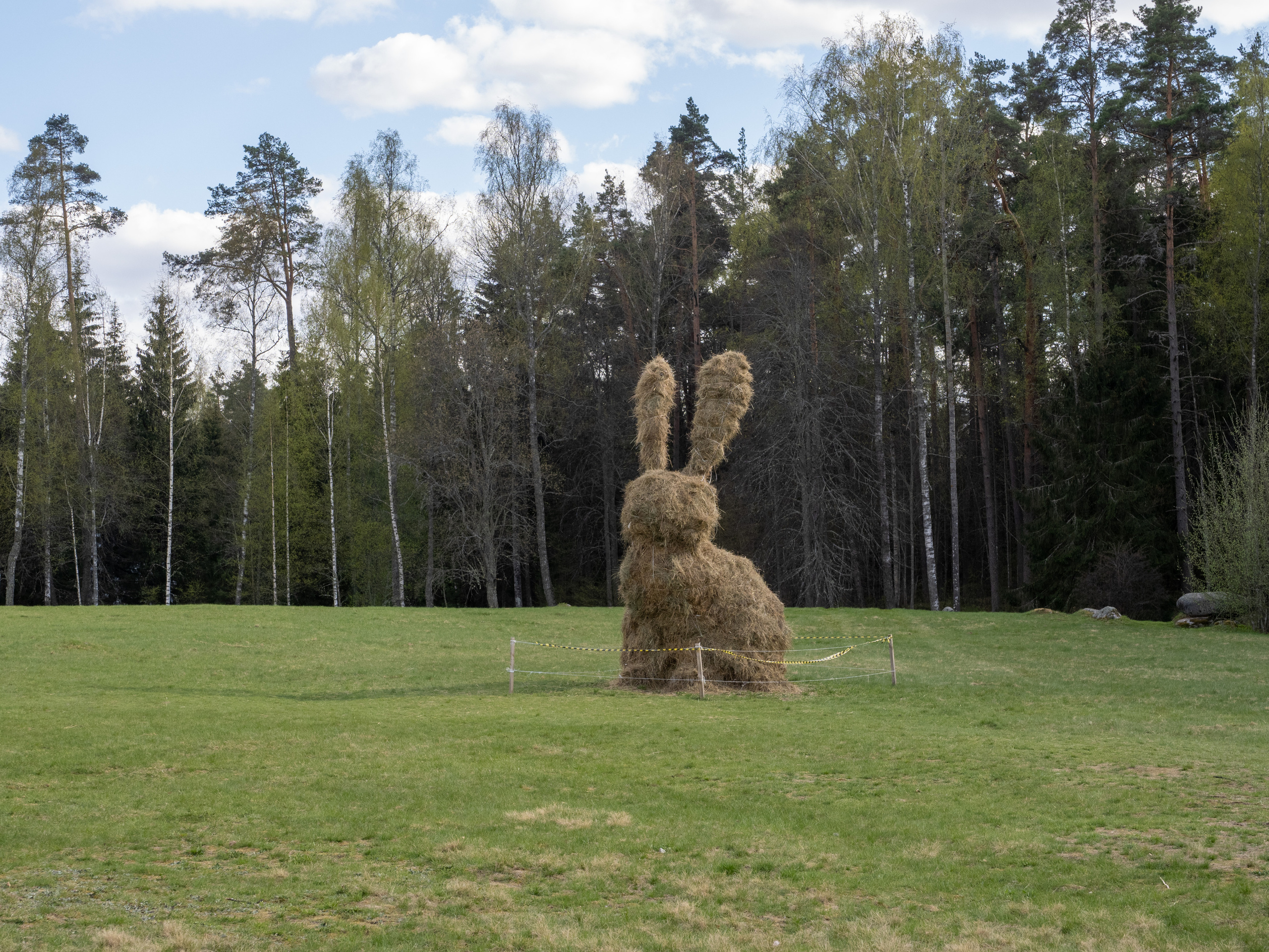 Пушкинские горы. Творческие сьемки