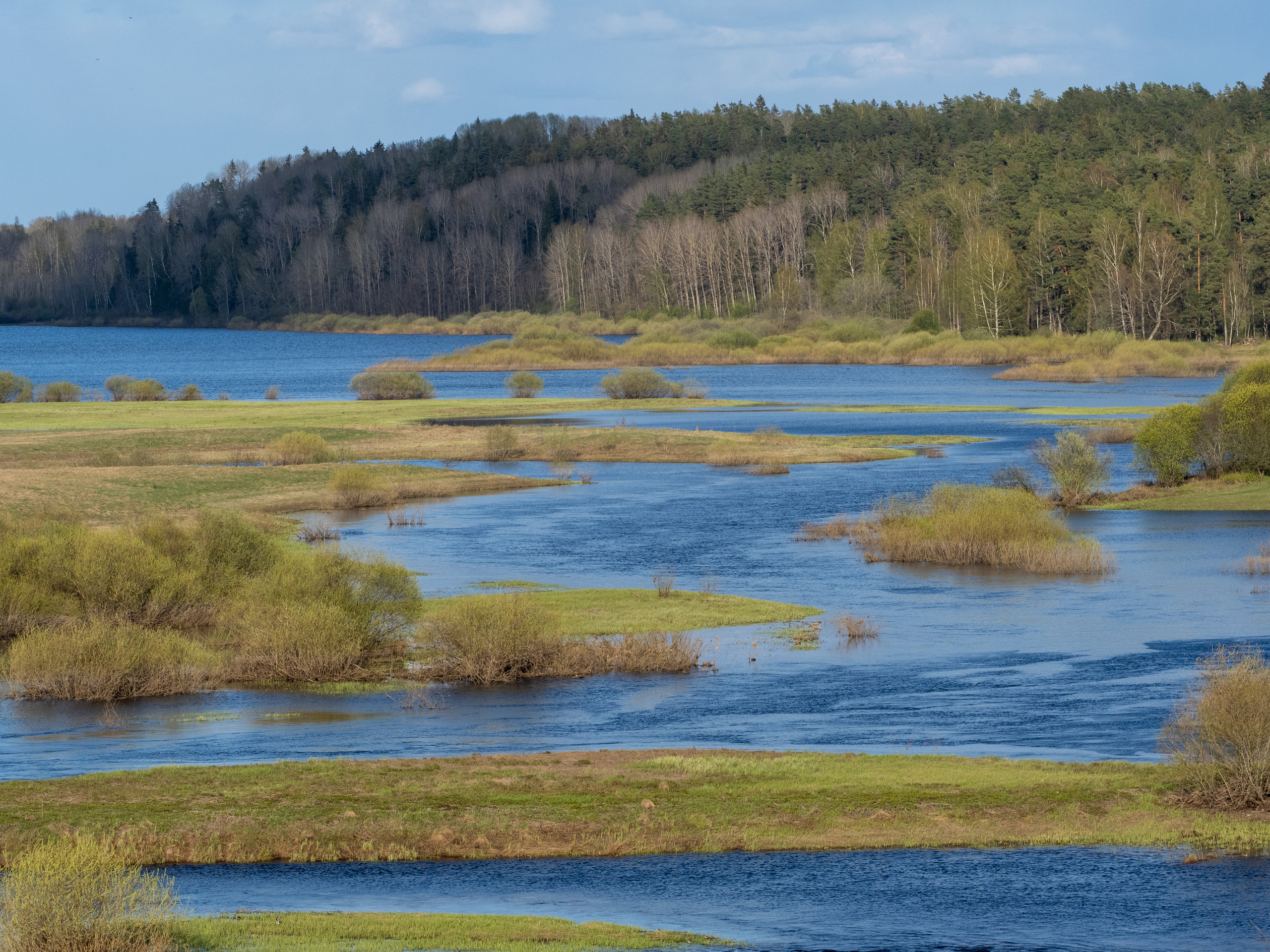 Пушкинские горы. Творческие сьемки