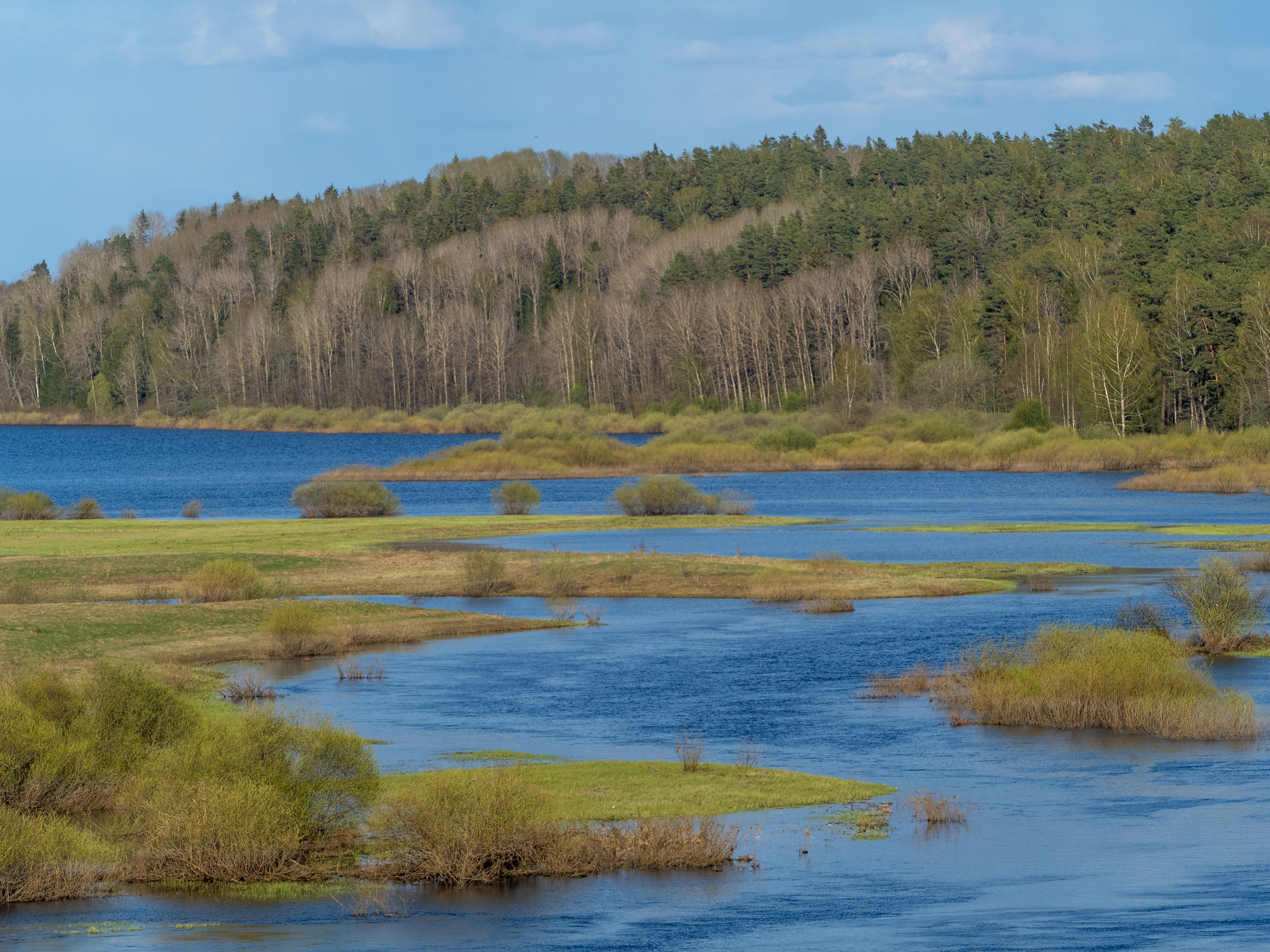 Пушкинские горы. Творческие сьемки