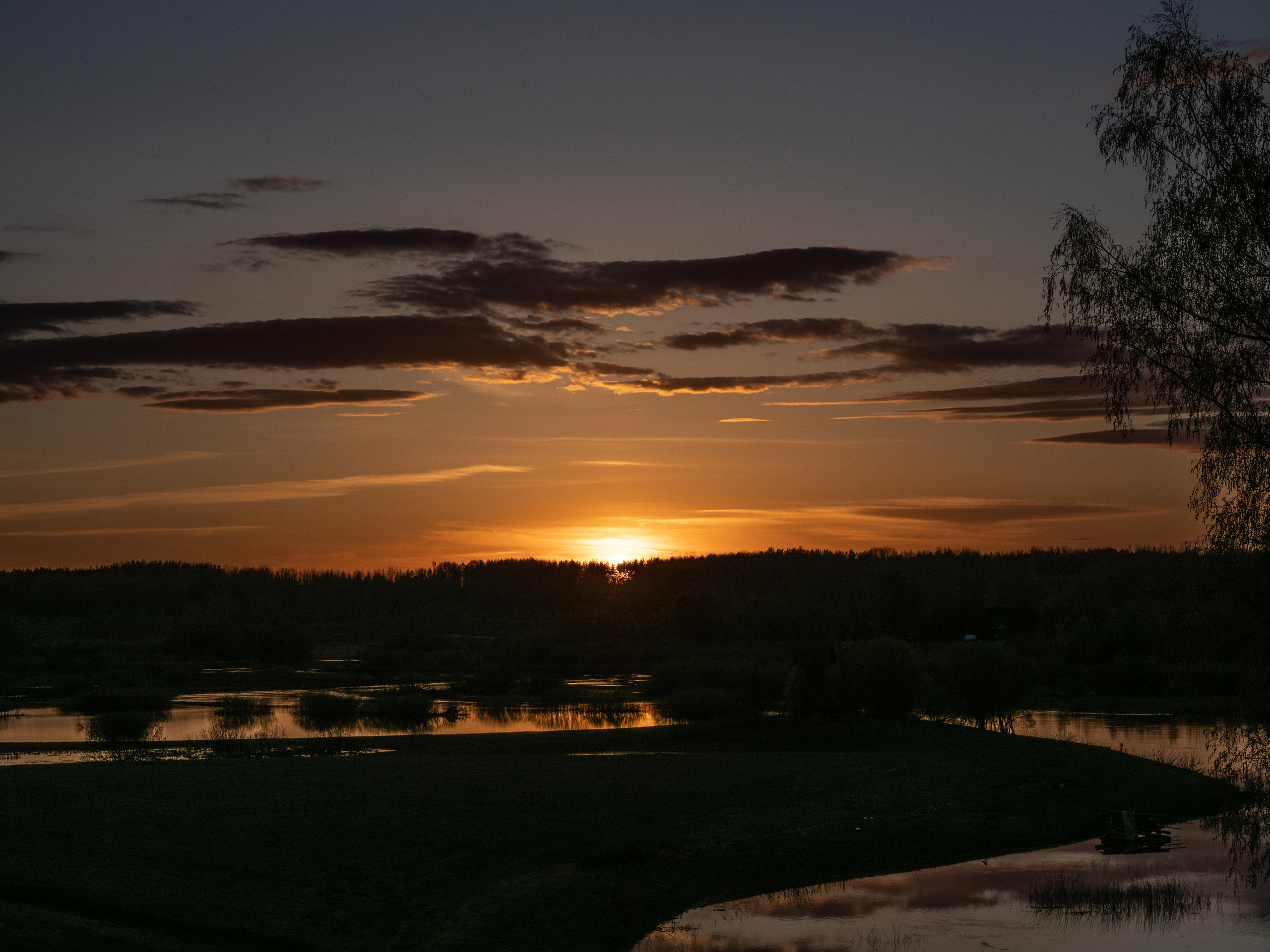Пушкинские горы. Творческие сьемки