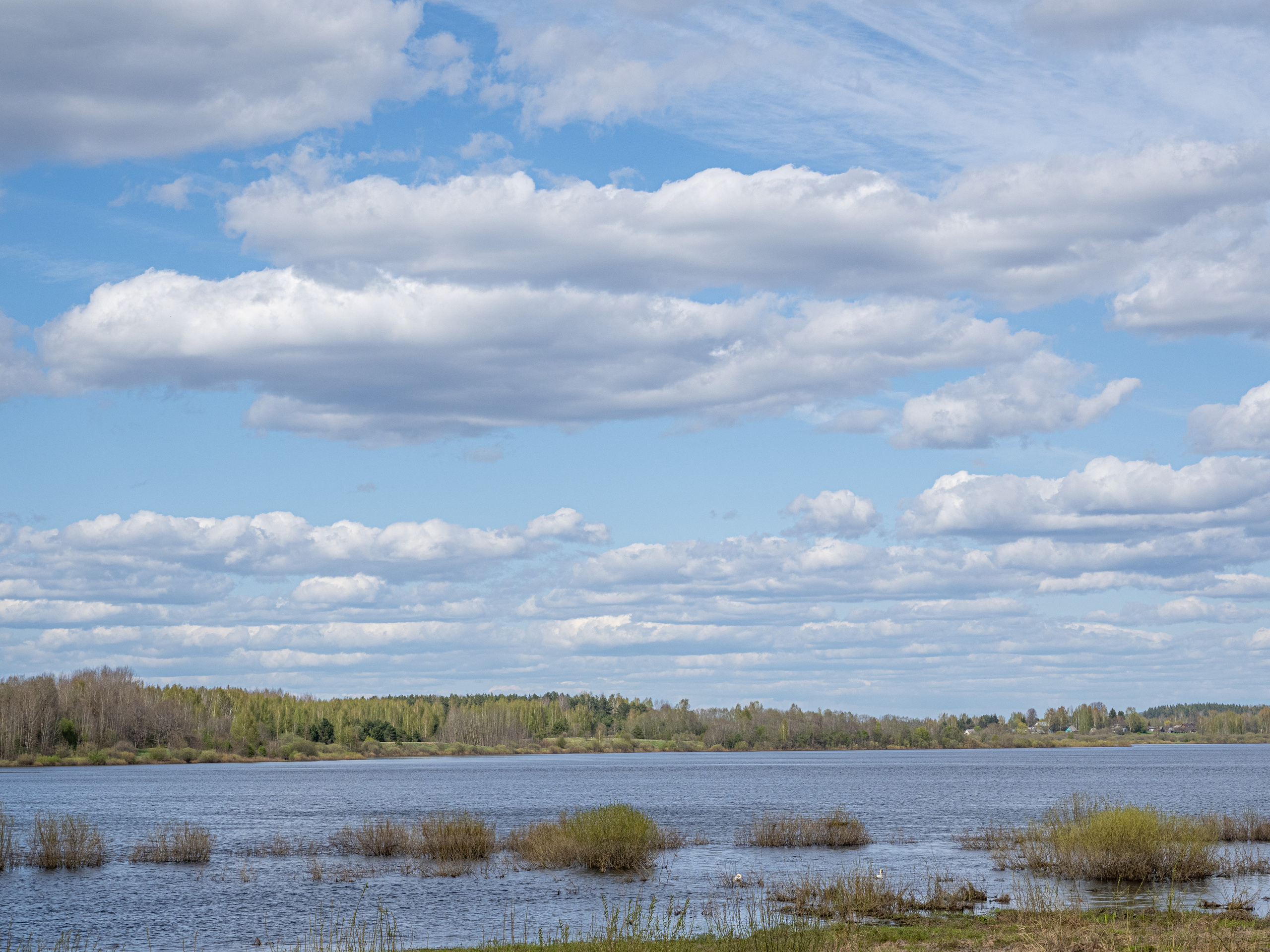 Пушкинские горы. Творческие сьемки