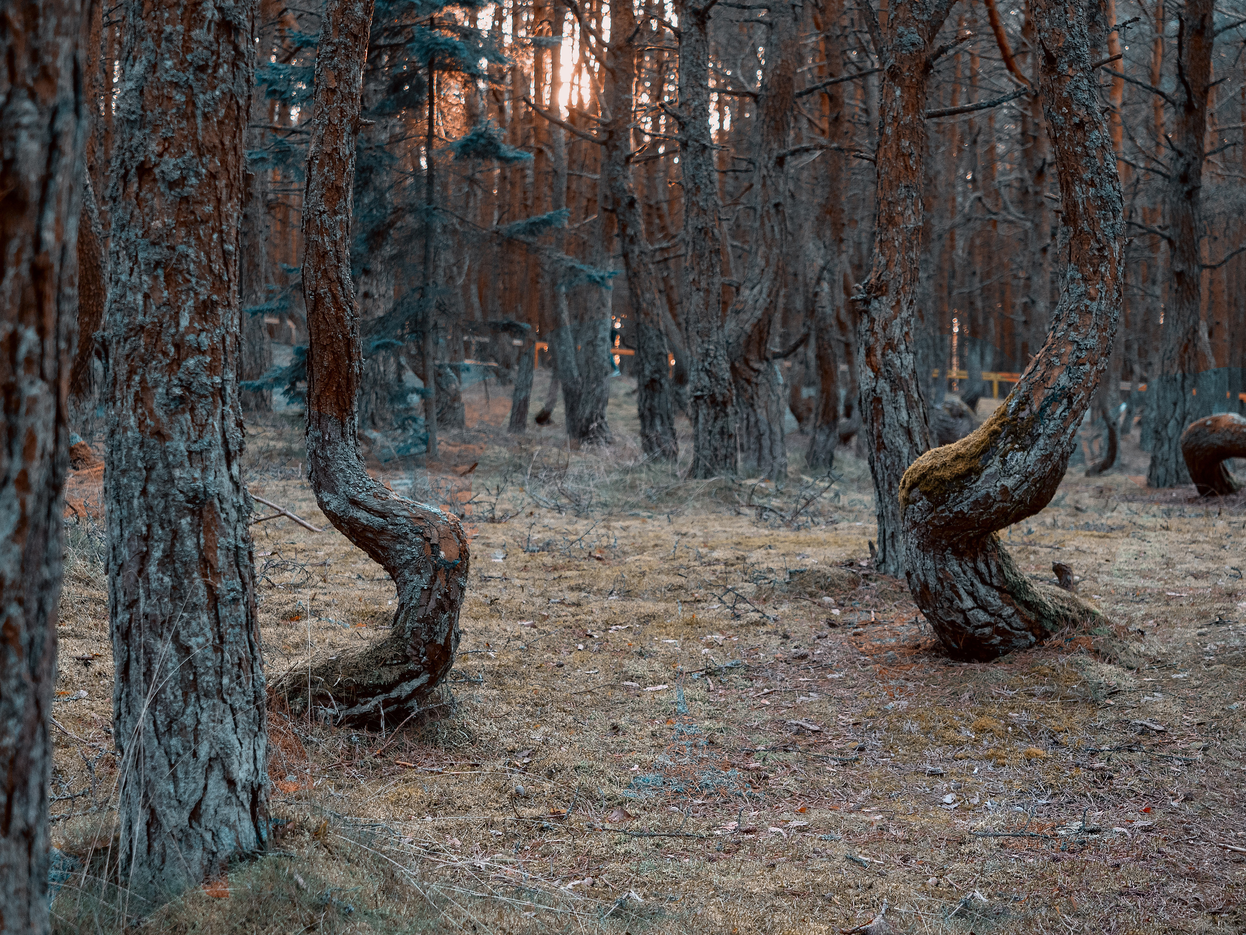 Калининград и окрестности. Творческие сьемки