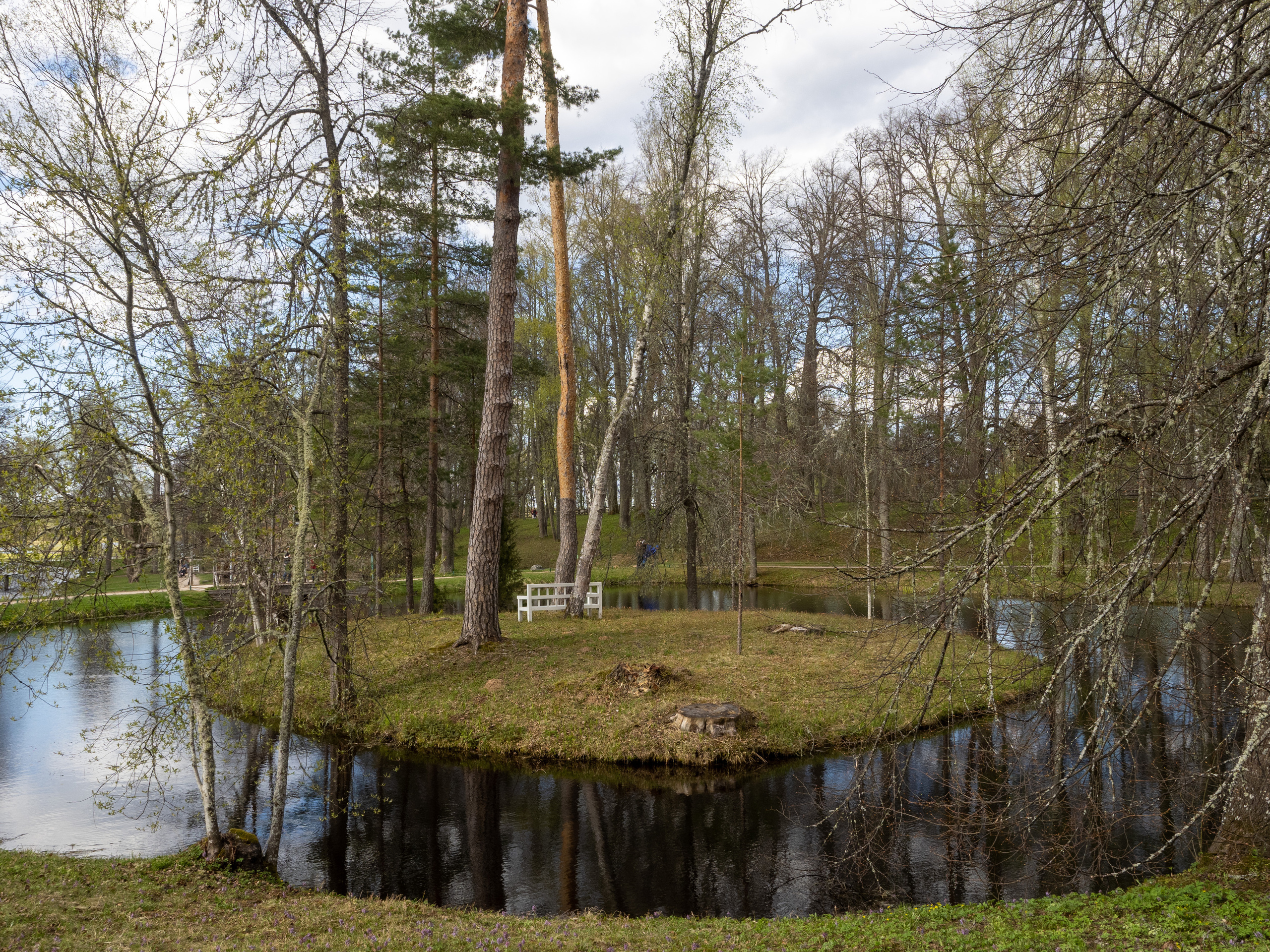 Пушкинские горы. Творческие сьемки