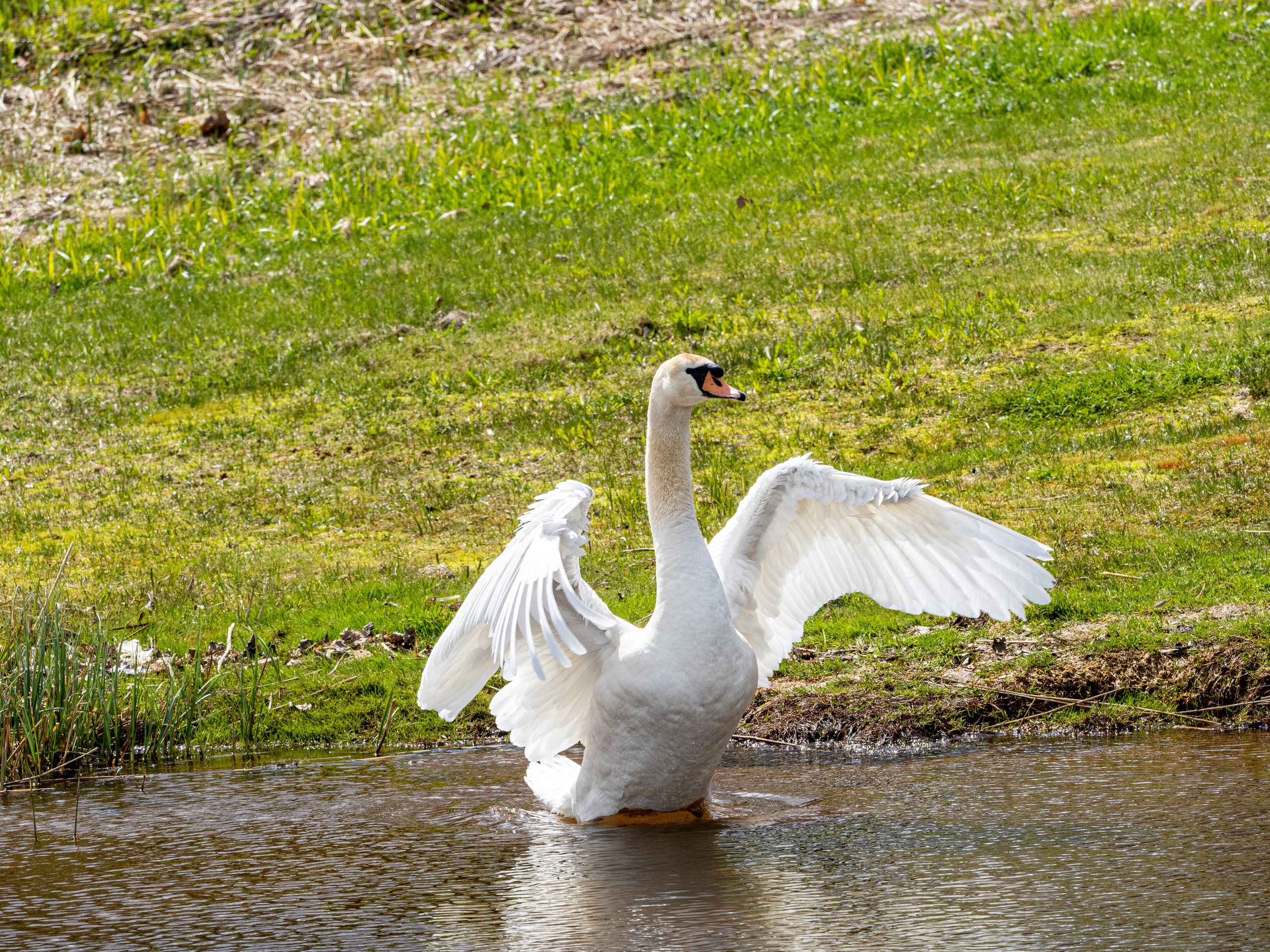Пушкинские горы. Творческие сьемки