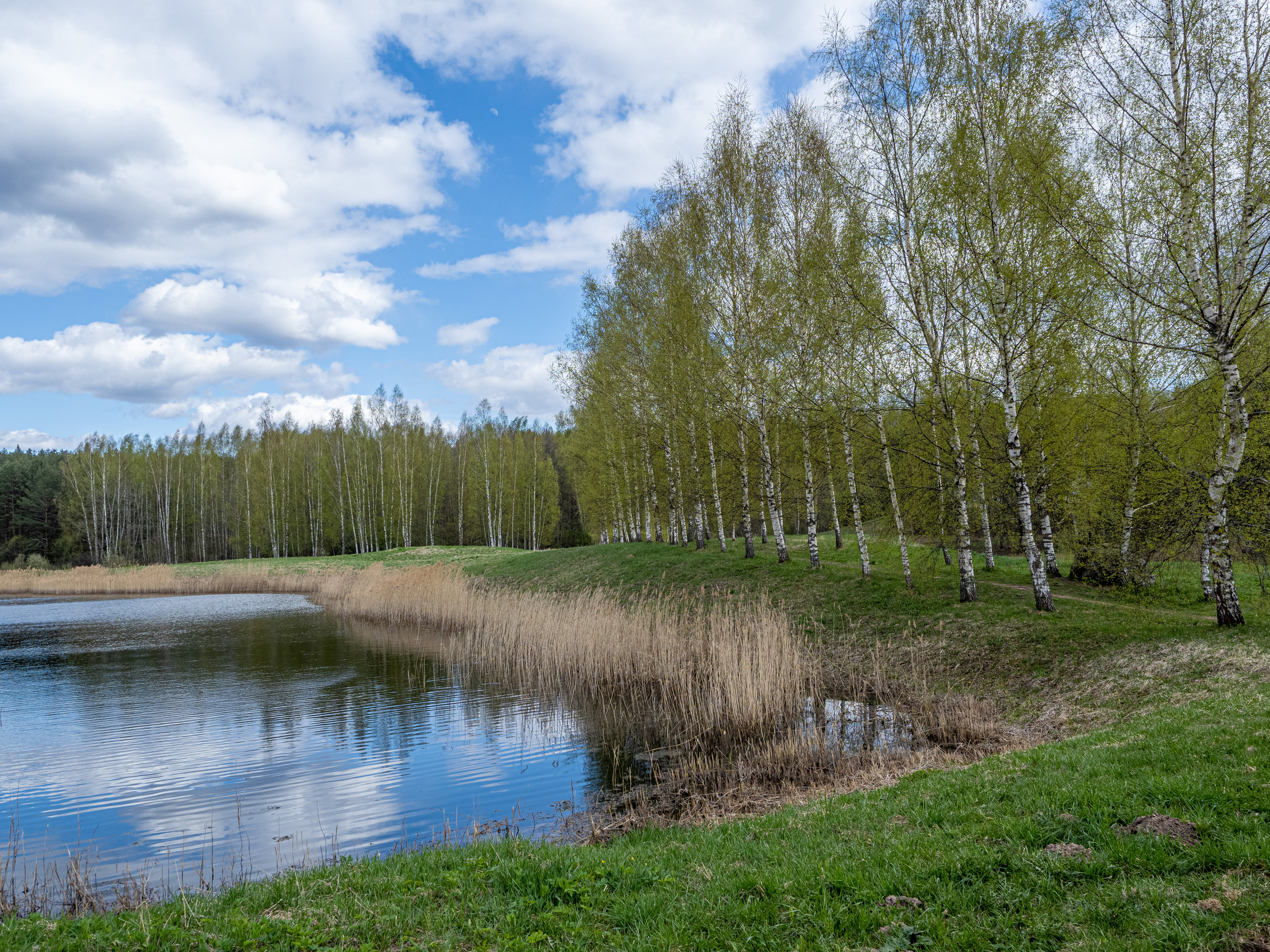 Пушкинские горы. Творческие сьемки