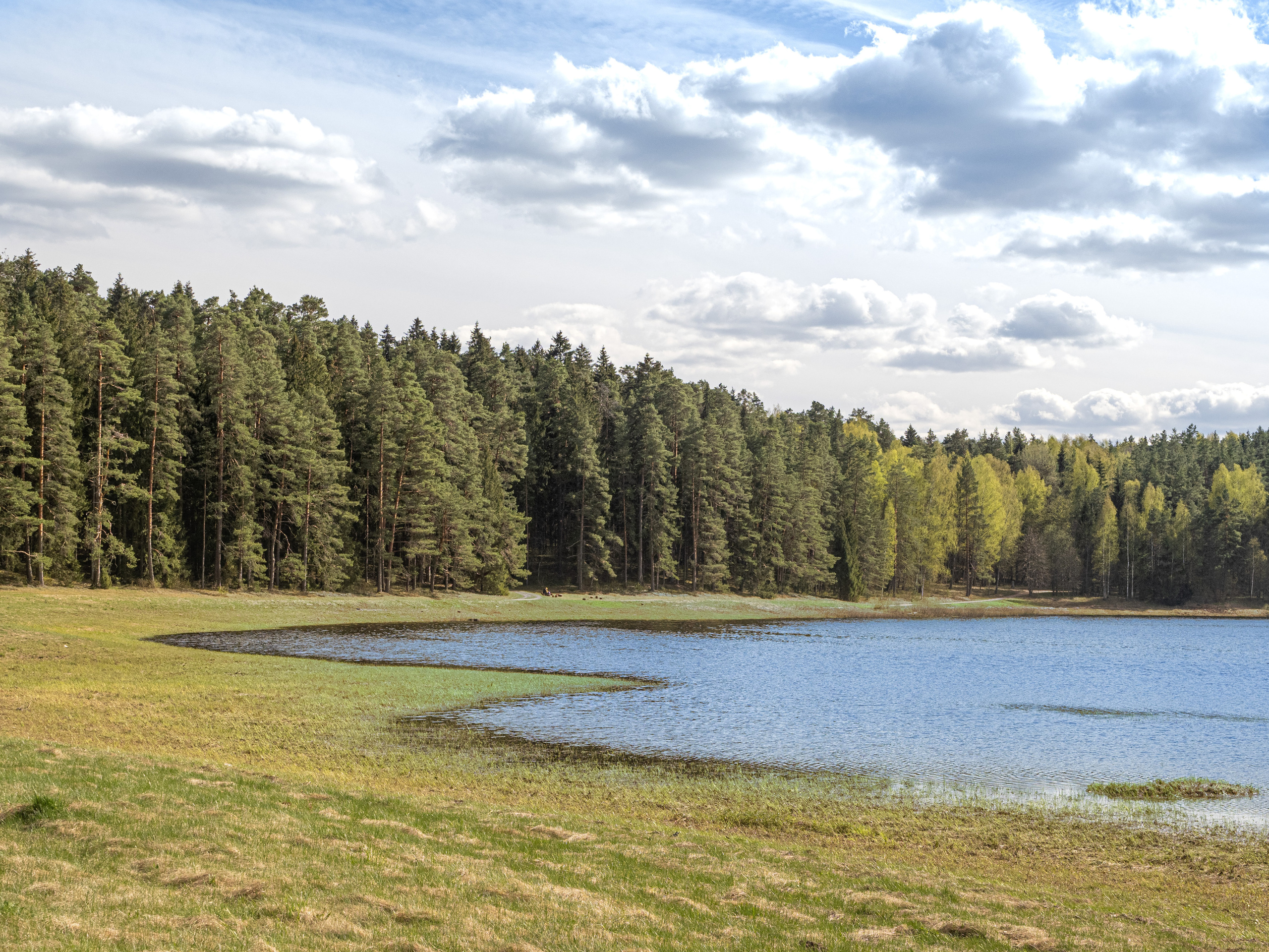 Пушкинские горы. Творческие сьемки