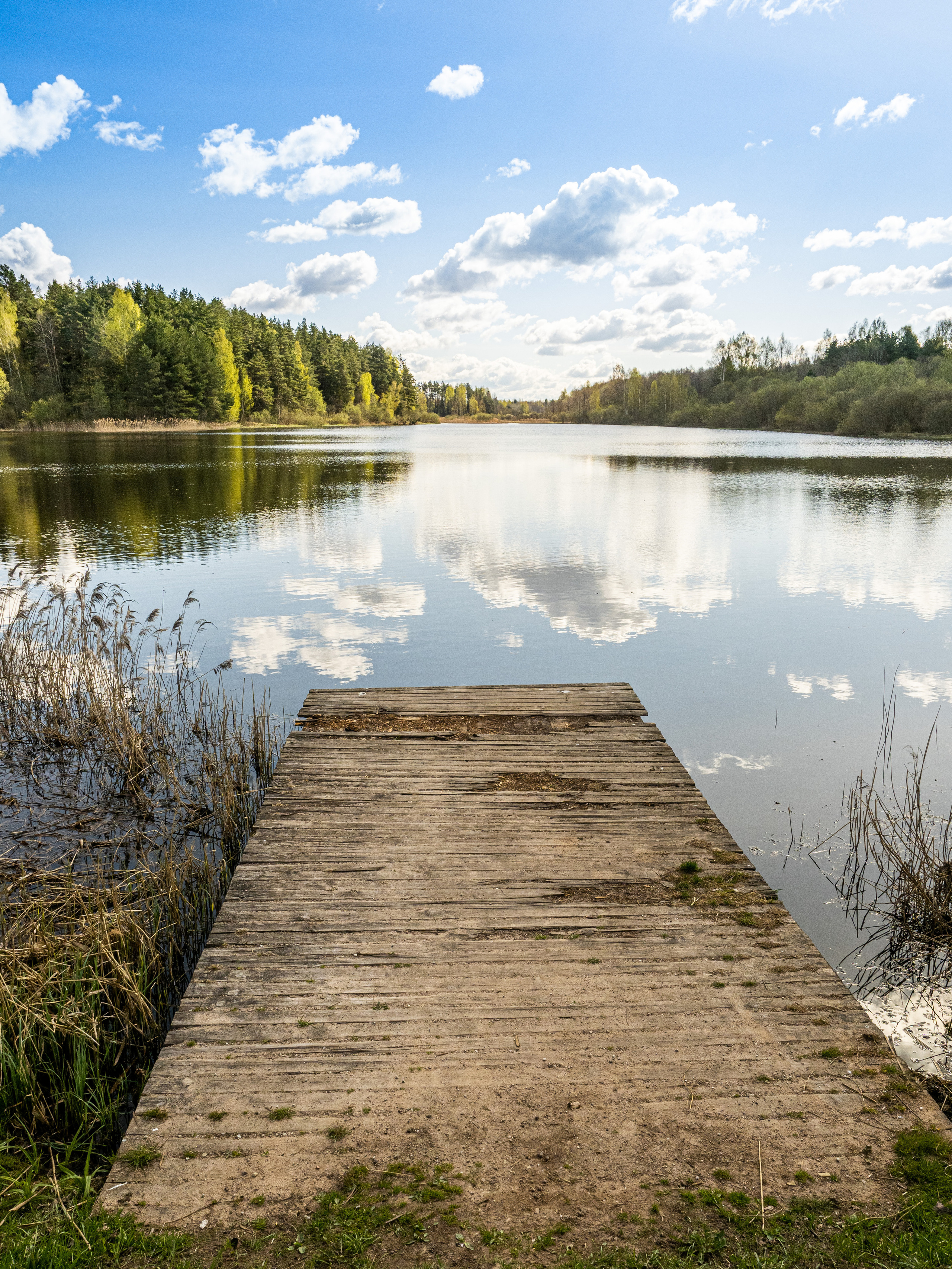 Пушкинские горы. Творческие сьемки