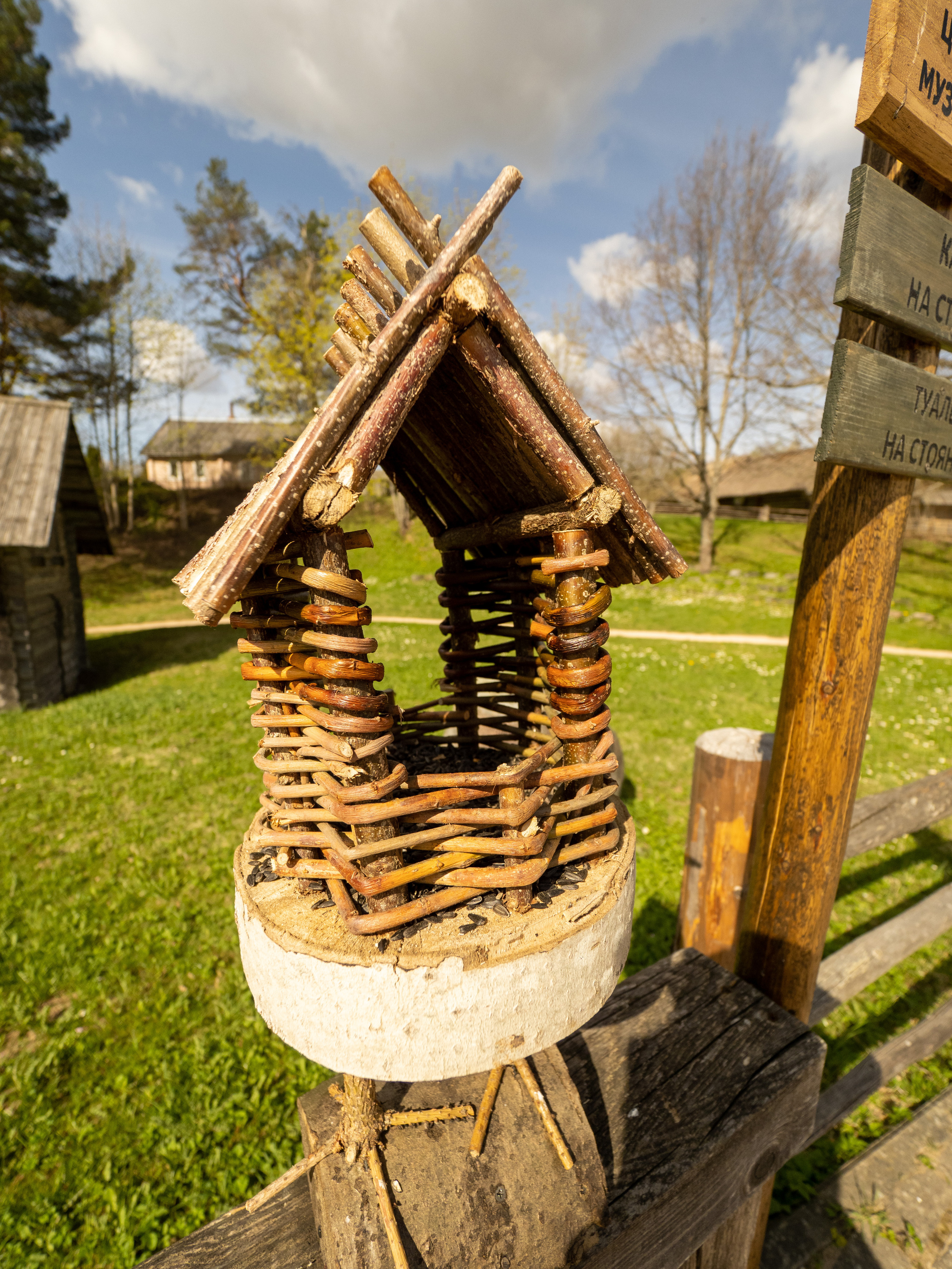 Пушкинские горы. Творческие сьемки