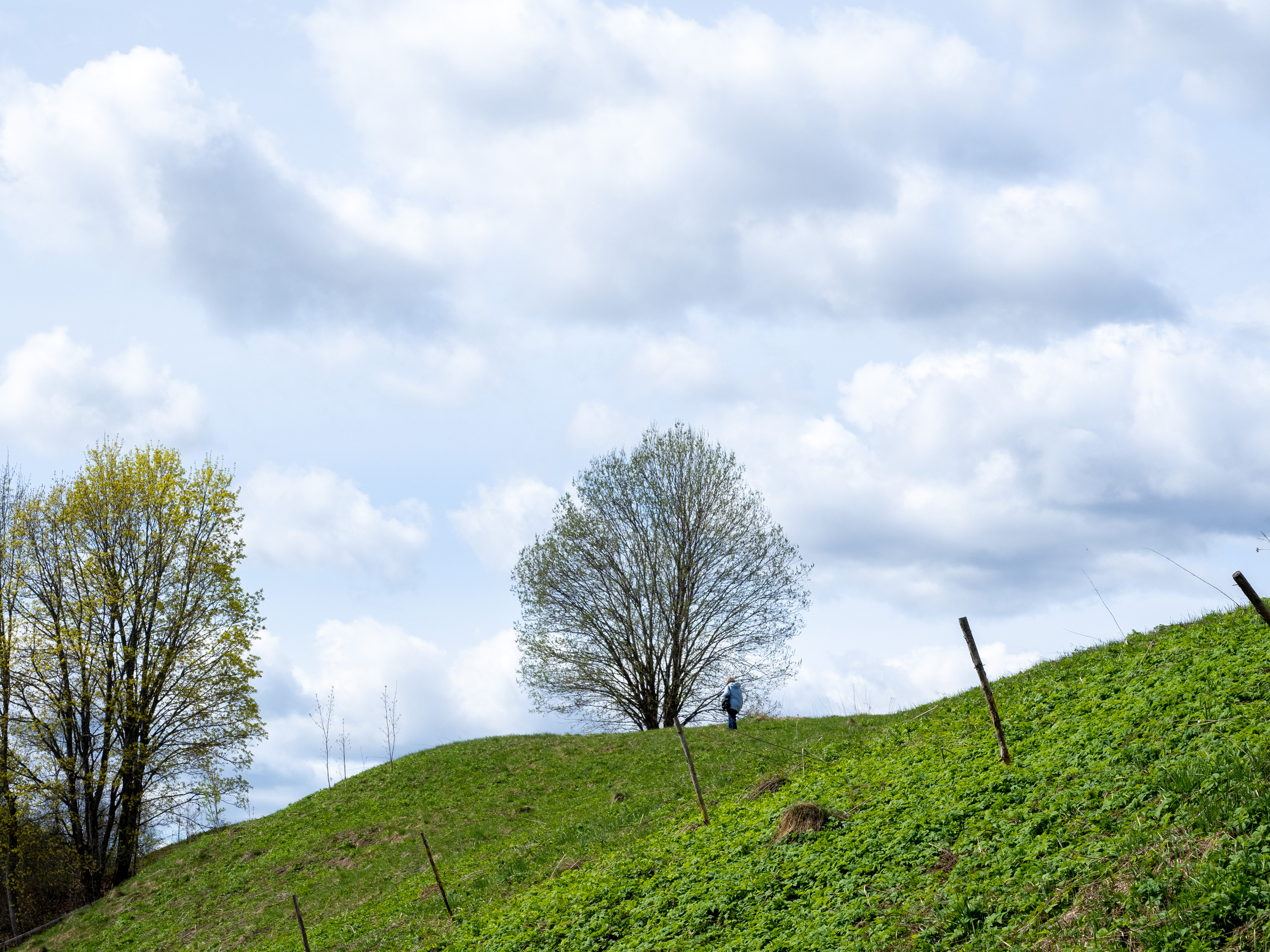 Пушкинские горы. Творческие сьемки