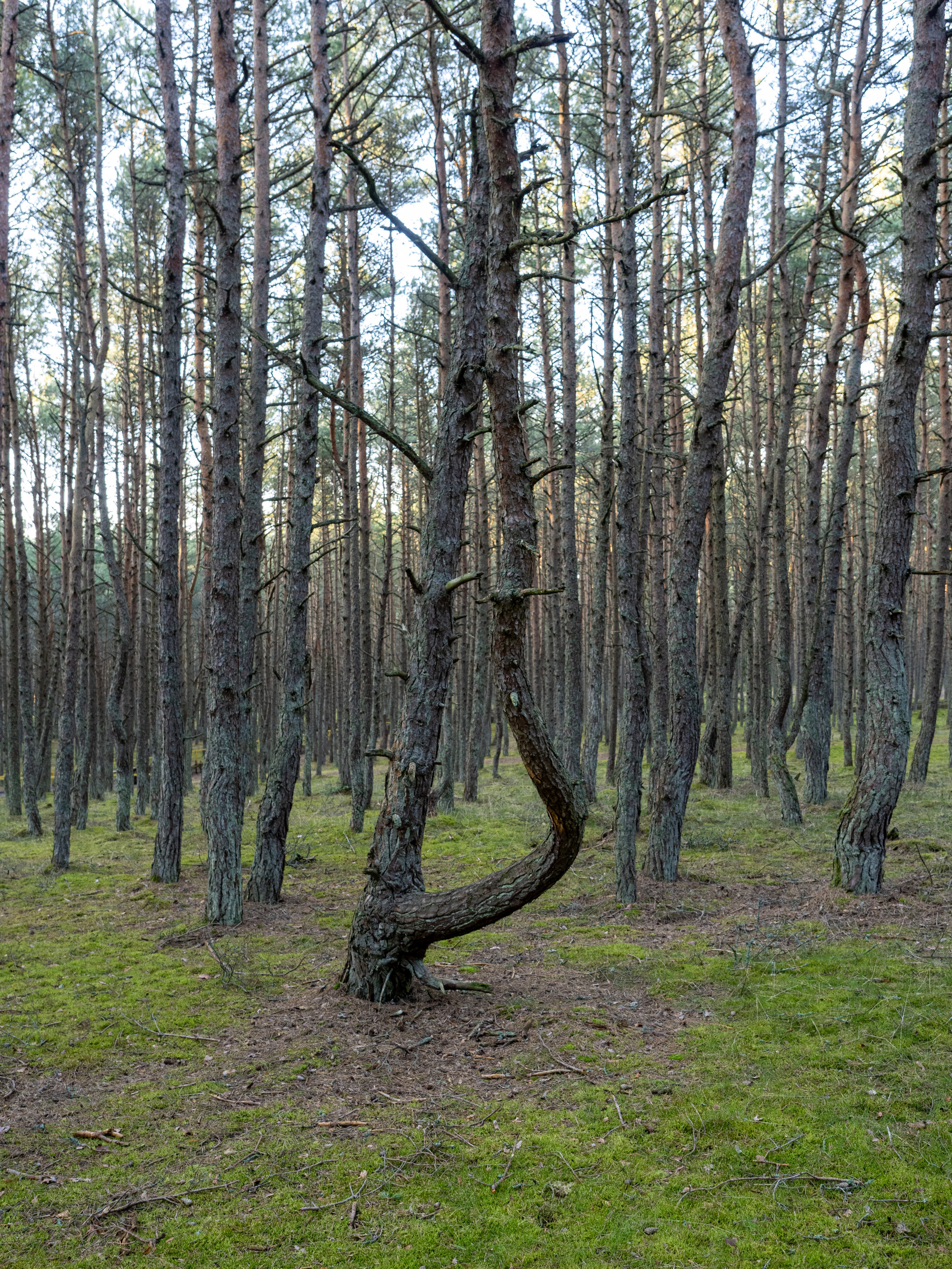 Калининград и окрестности. Творческие сьемки