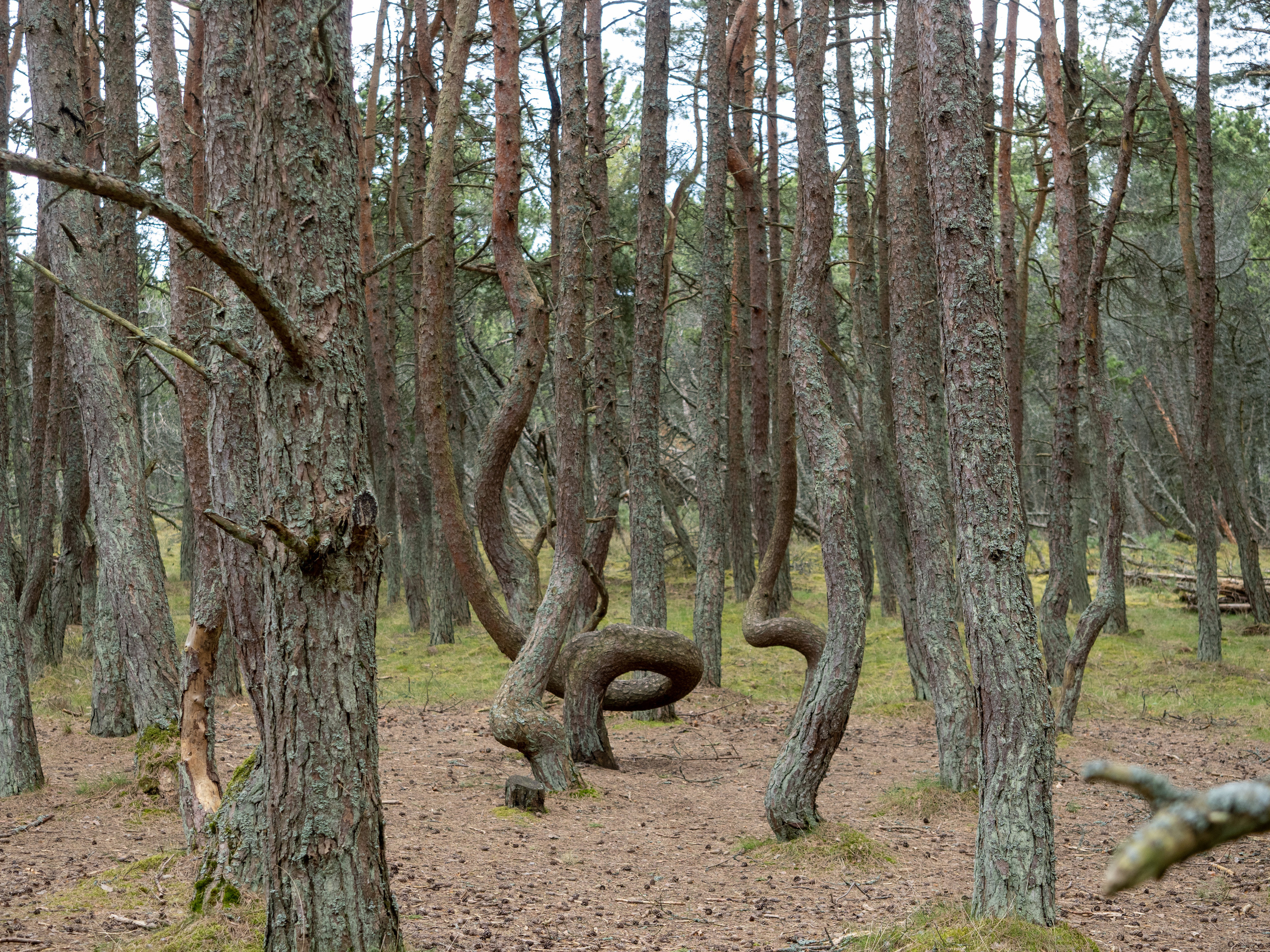 Калининград и окрестности. Творческие сьемки