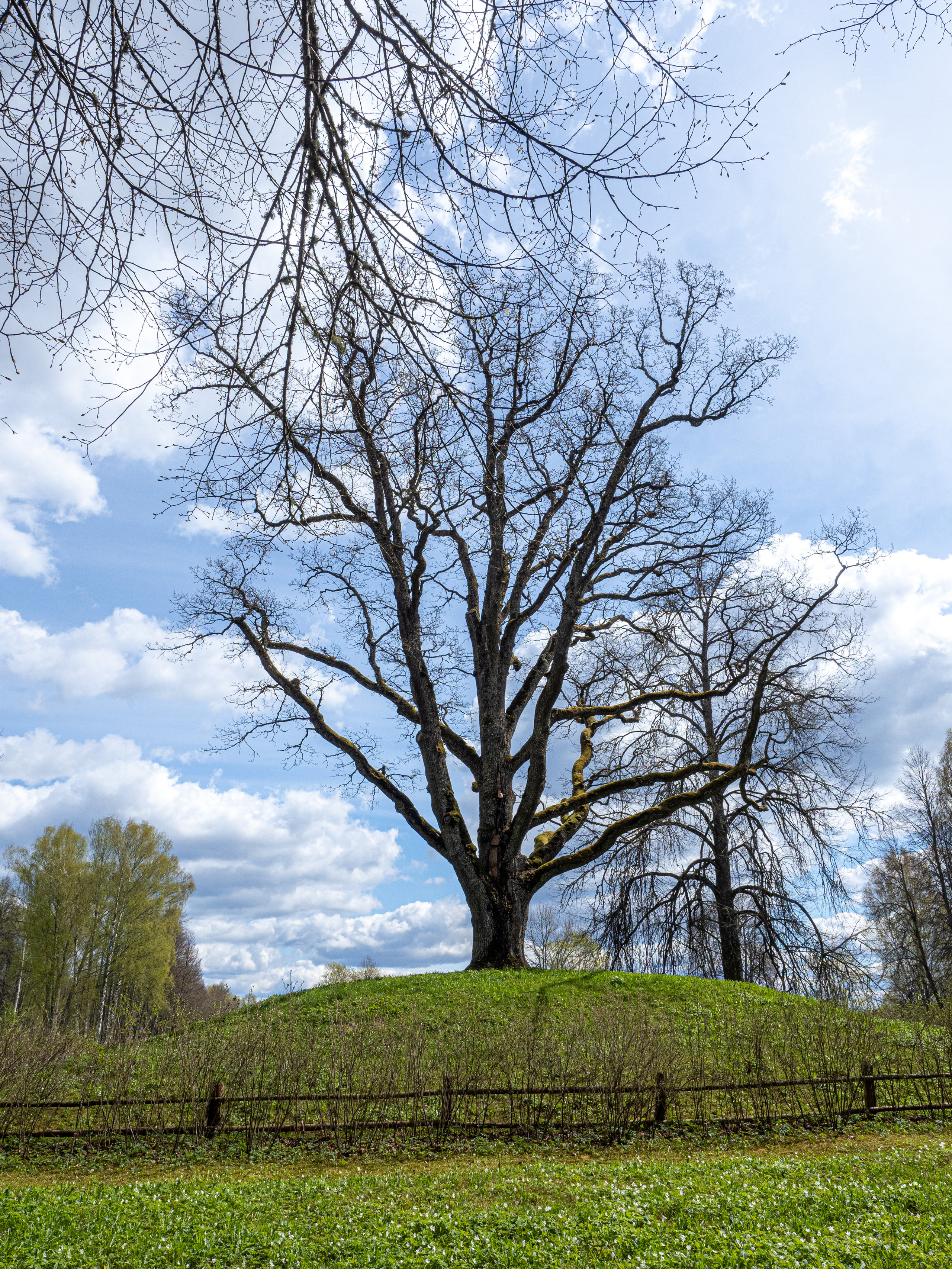 Пушкинские горы. Творческие сьемки