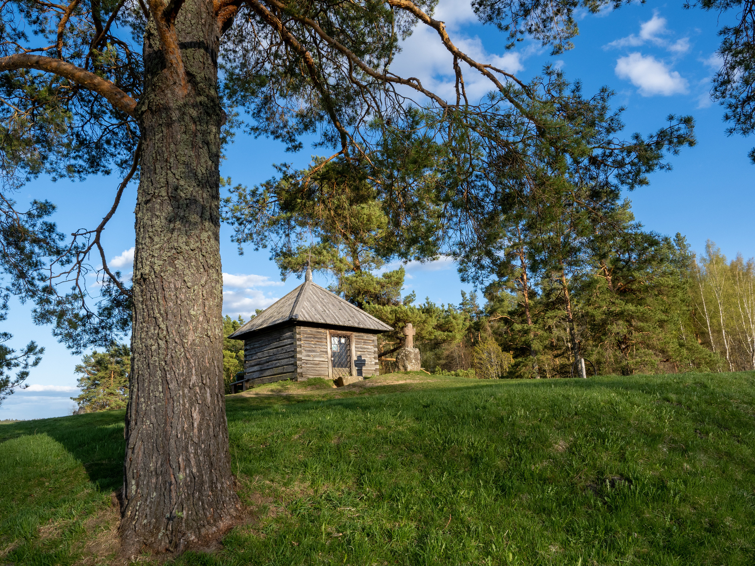 Пушкинские горы. Творческие сьемки