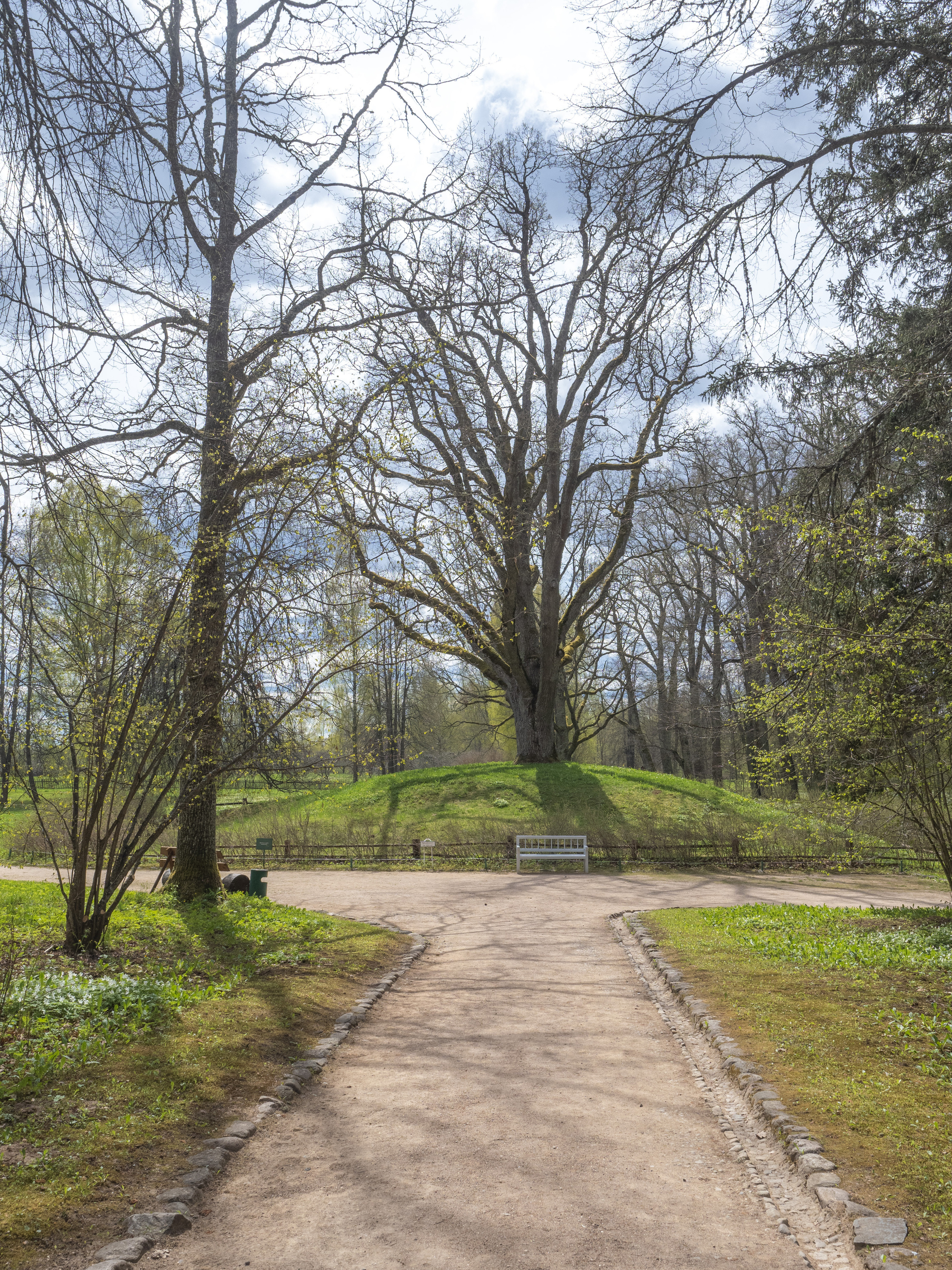 Пушкинские горы. Творческие сьемки