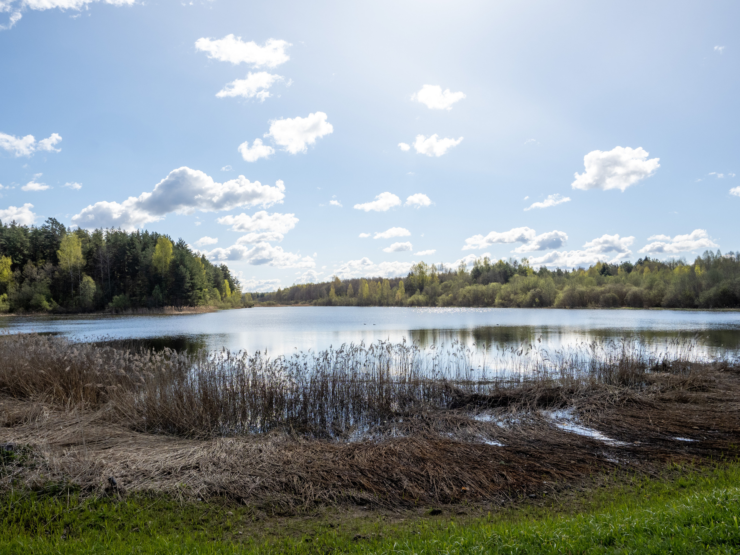 Пушкинские горы. Творческие сьемки