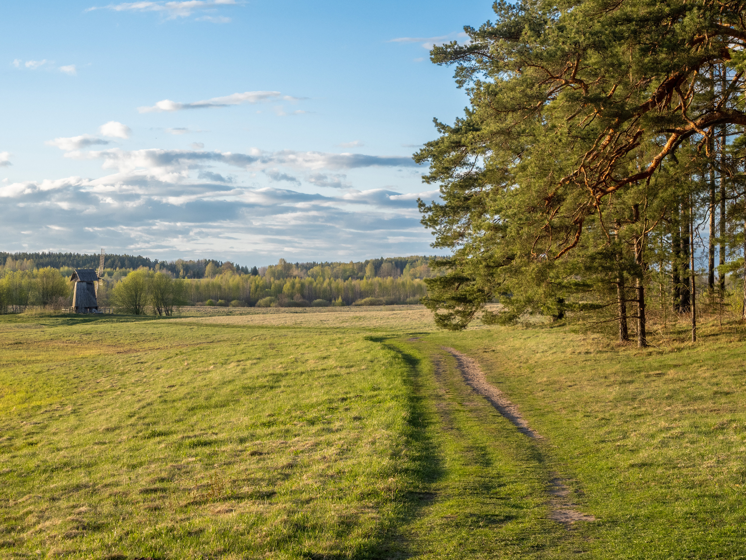 Пушкинские горы. Творческие сьемки