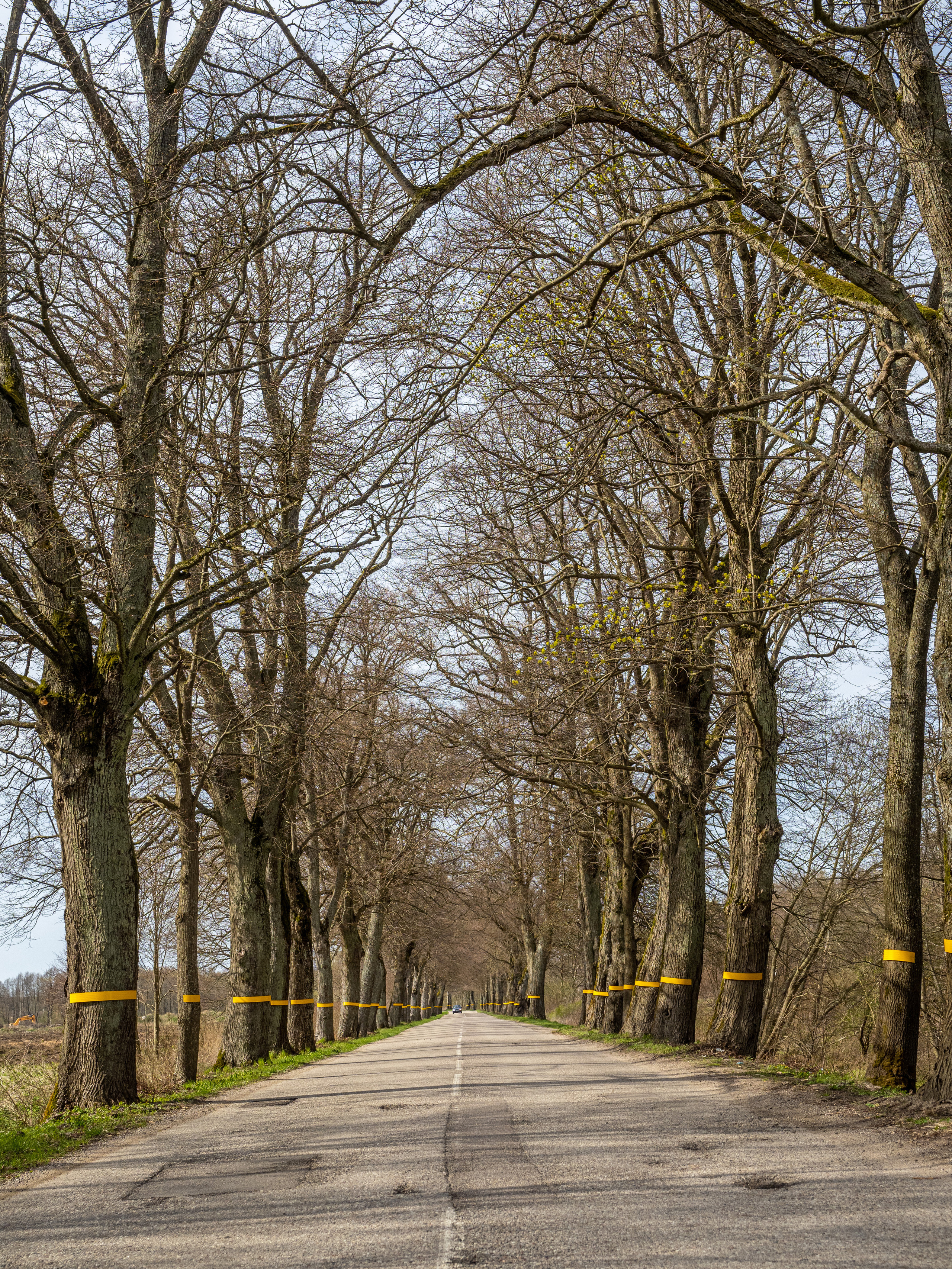 Калининград и окрестности. Творческие сьемки