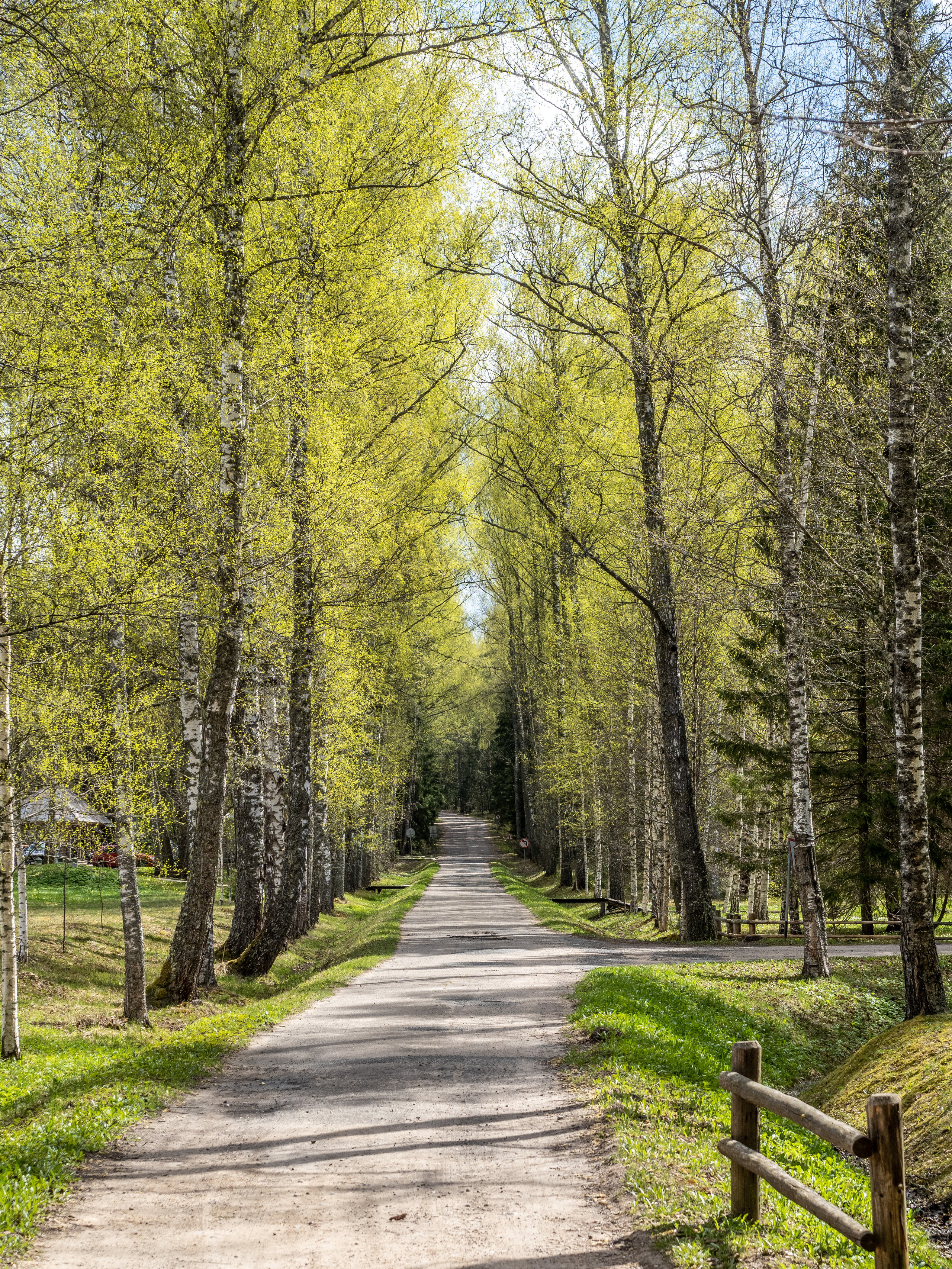 Пушкинские горы. Творческие сьемки