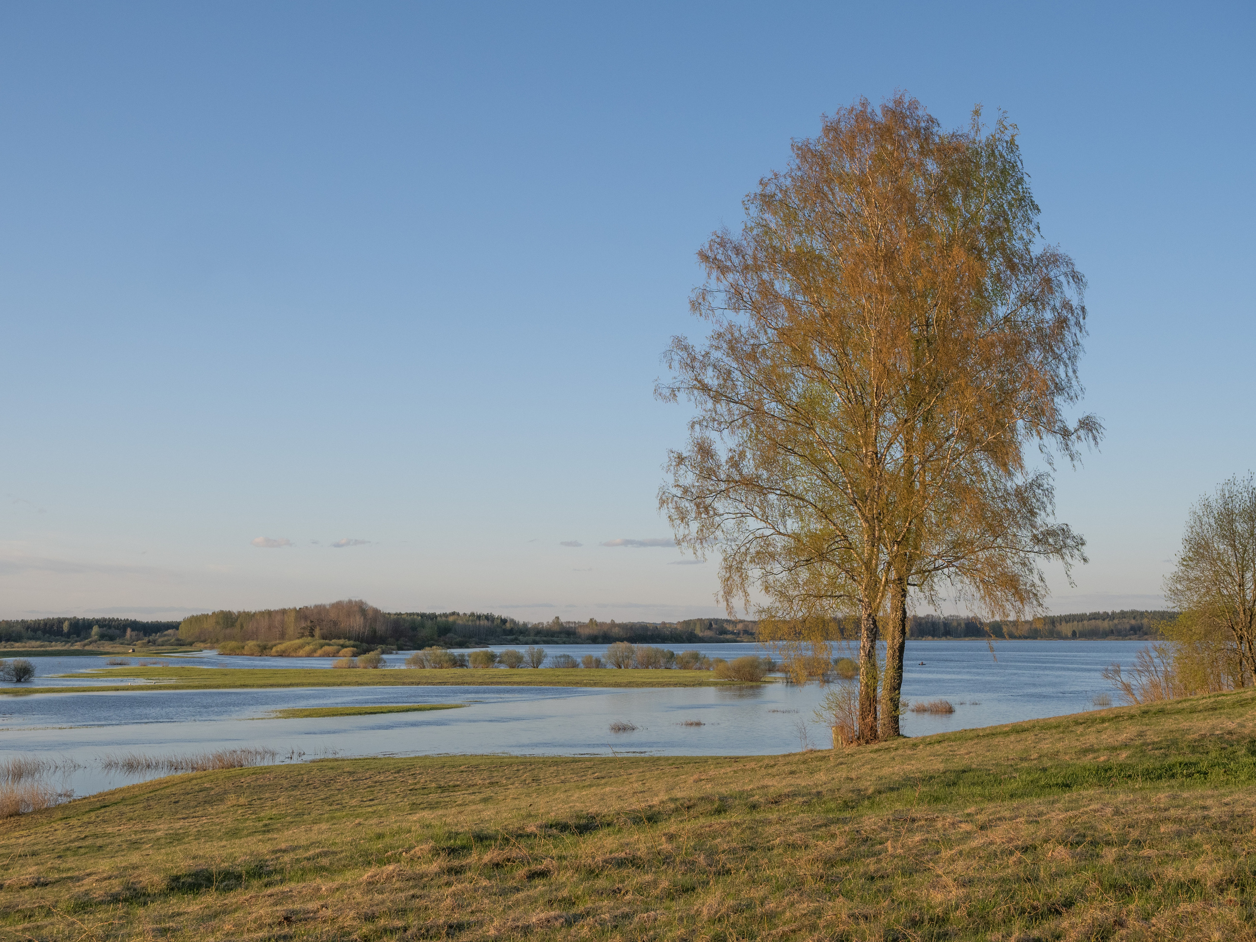 Пушкинские горы. Творческие сьемки