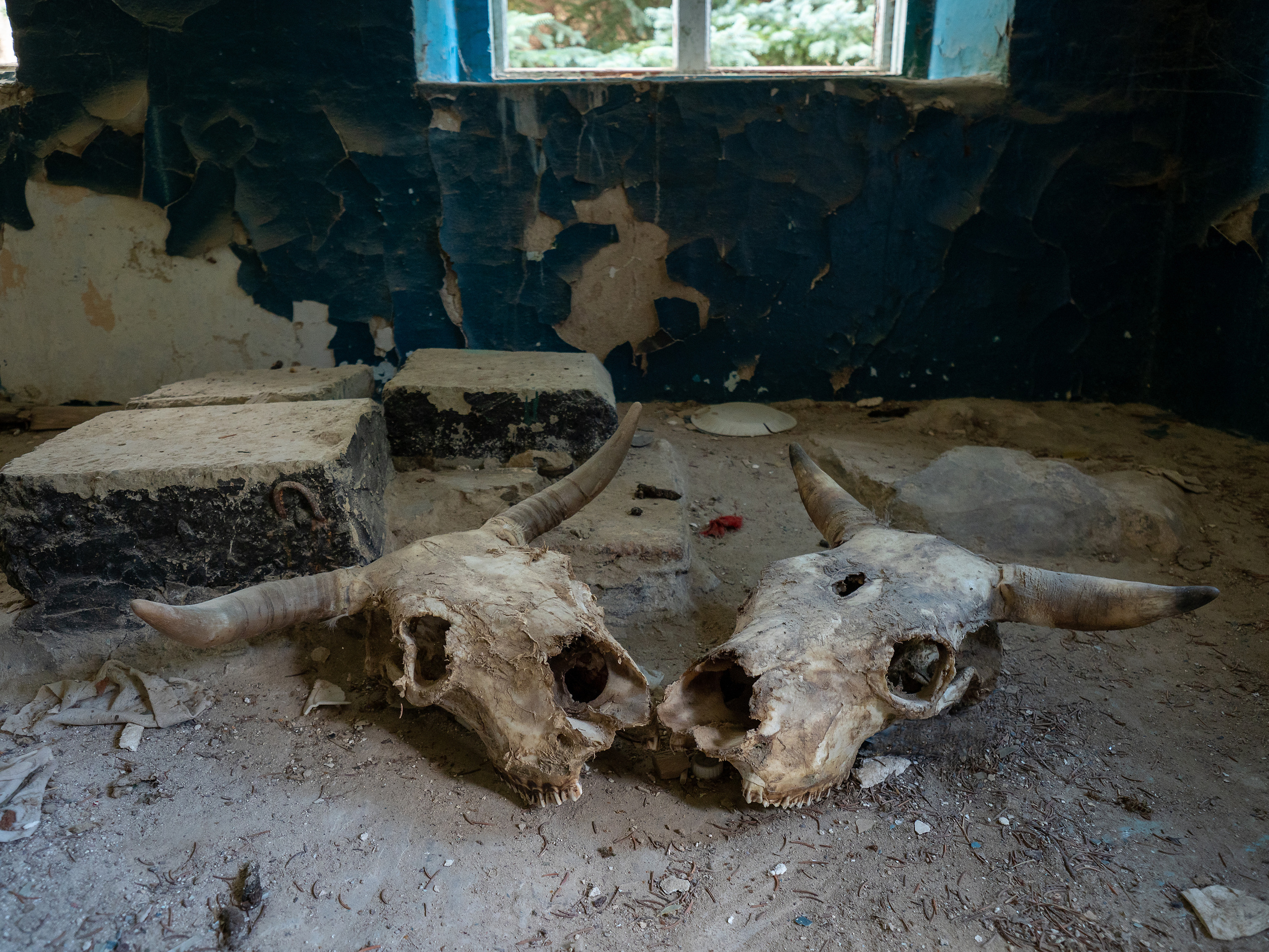 В окрестностях Эльбруса. Творческие сьемки