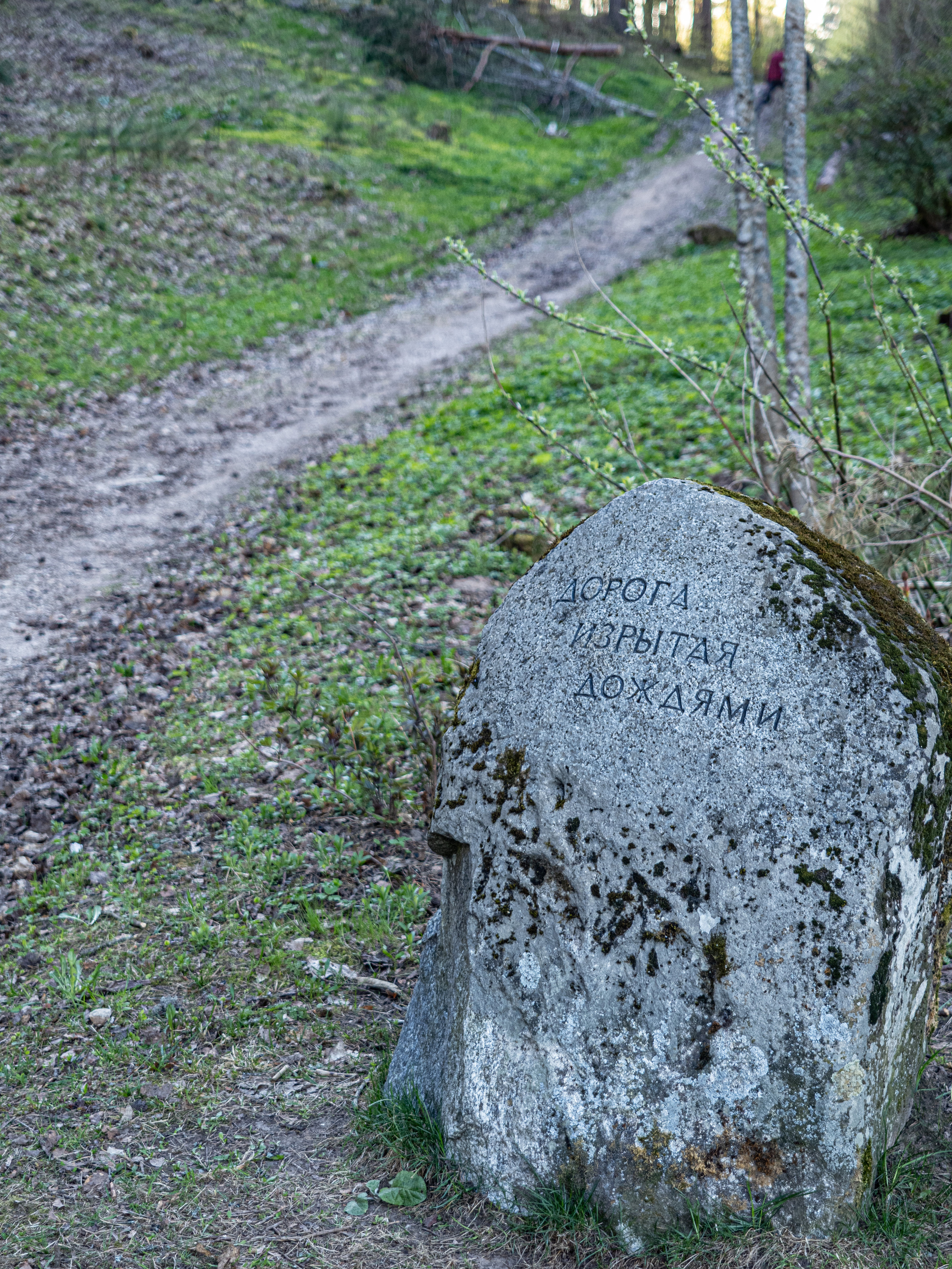 Пушкинские горы. Творческие сьемки
