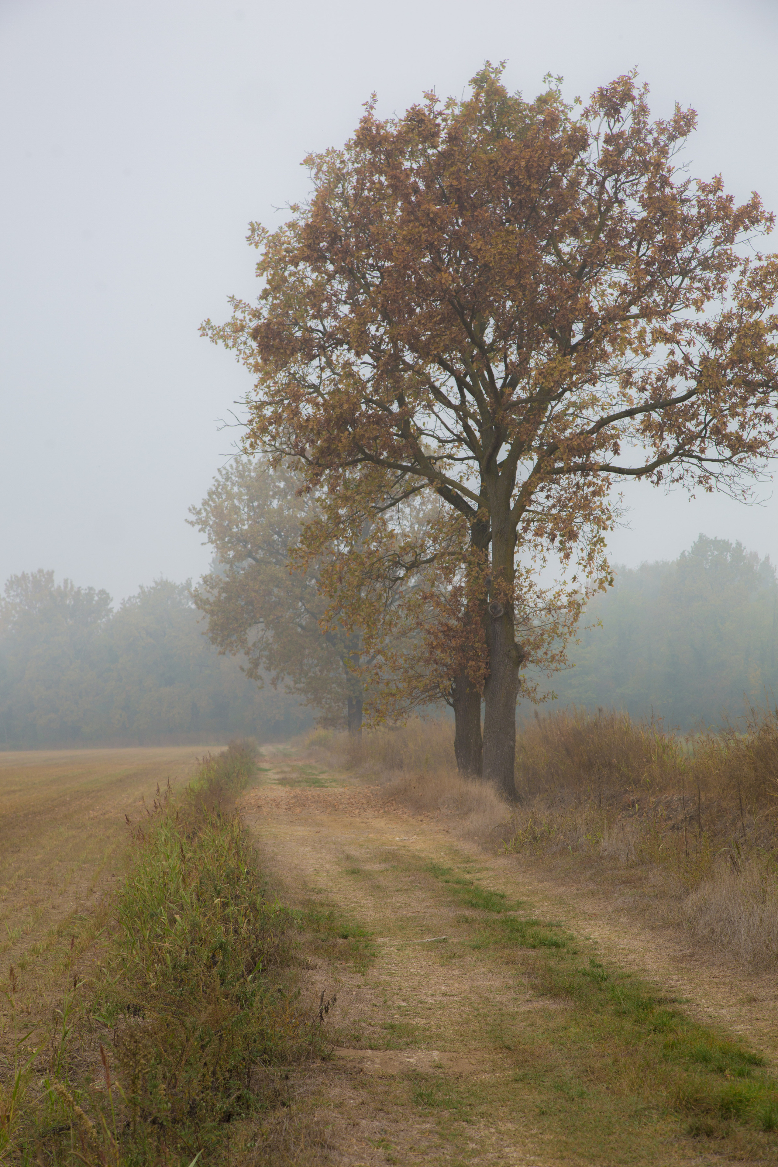 Италия. Творческие сьемки