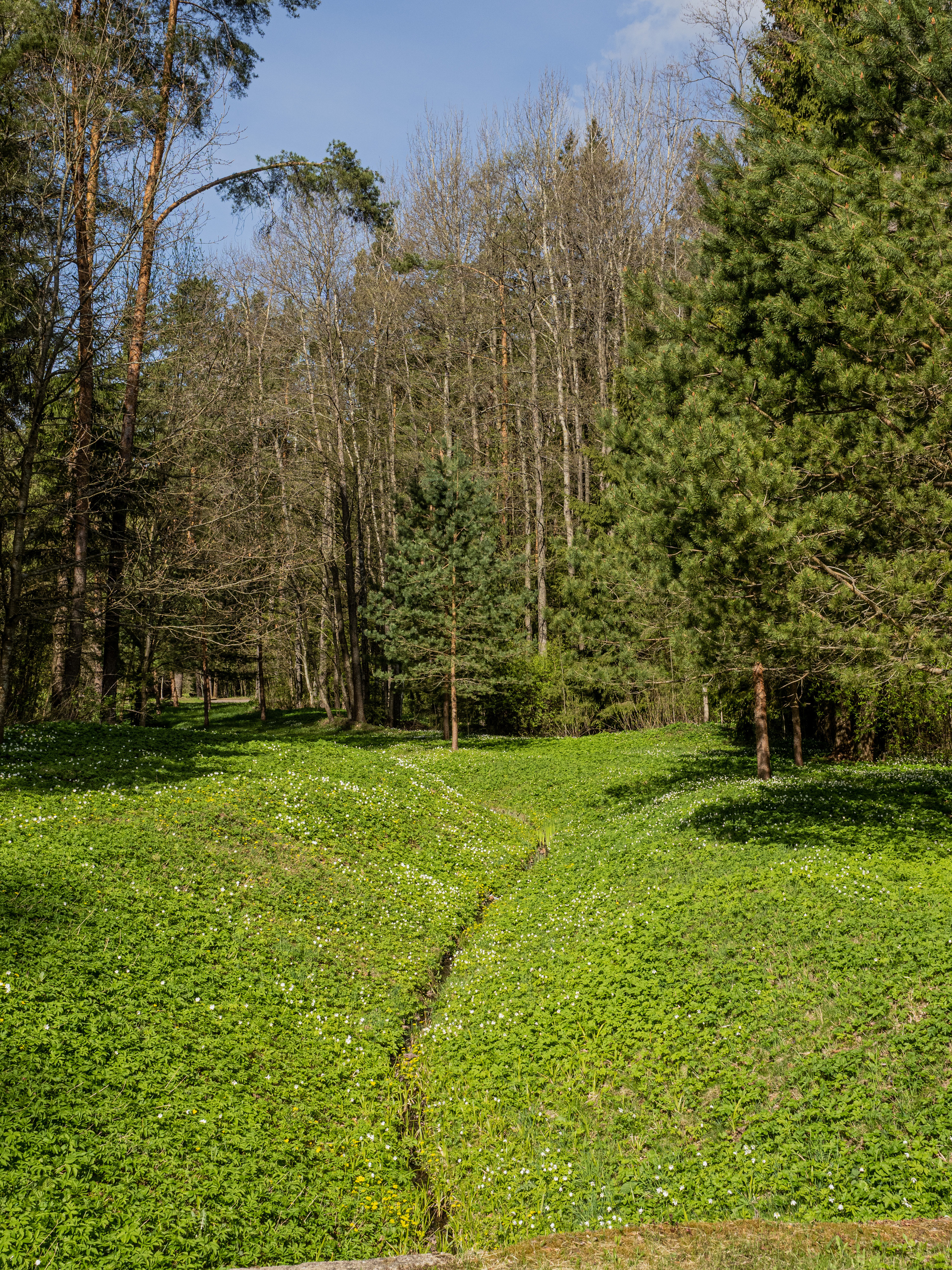 Пушкинские горы. Творческие сьемки