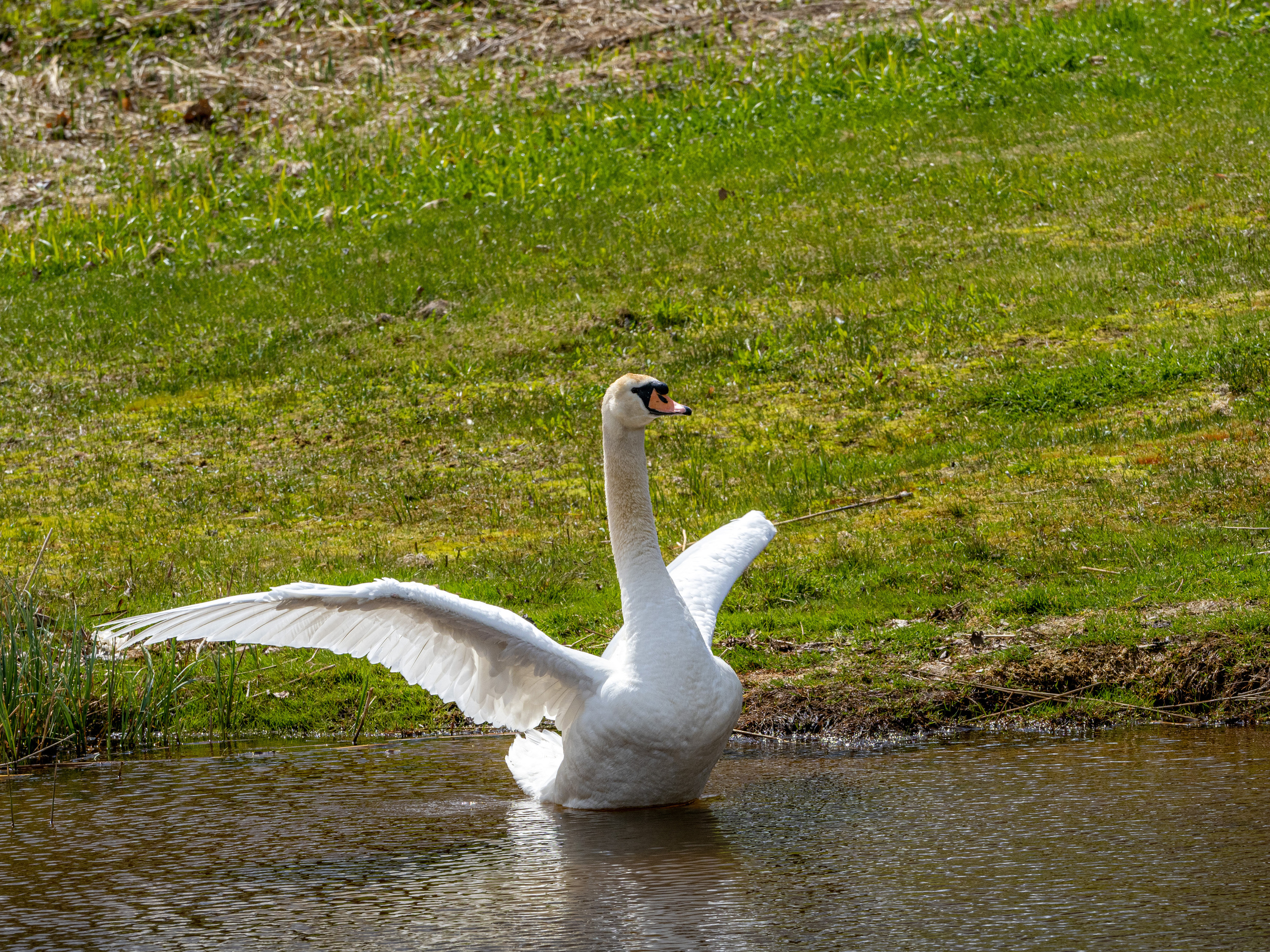 Пушкинские горы. Творческие сьемки