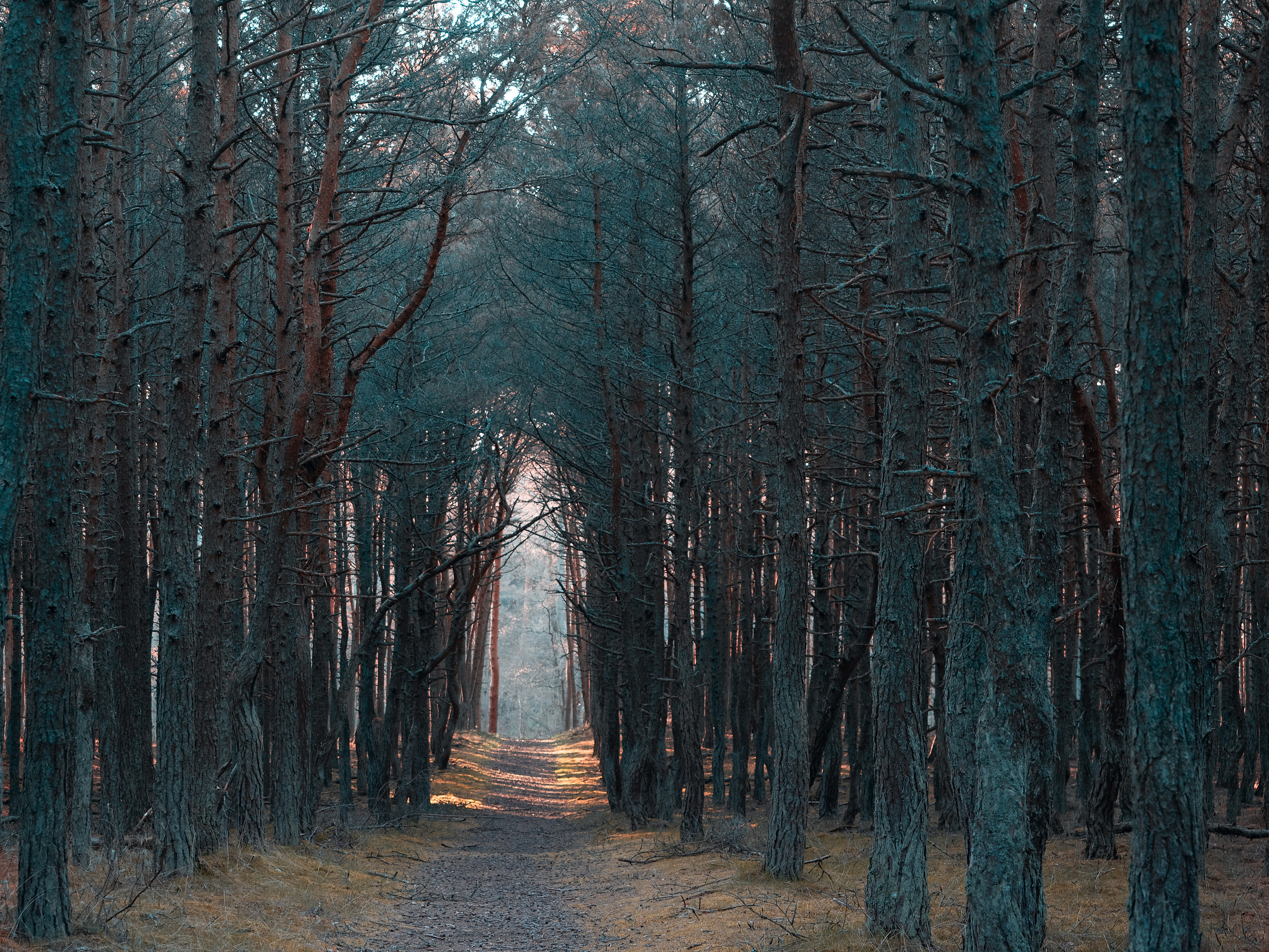 Калининград и окрестности. Творческие сьемки