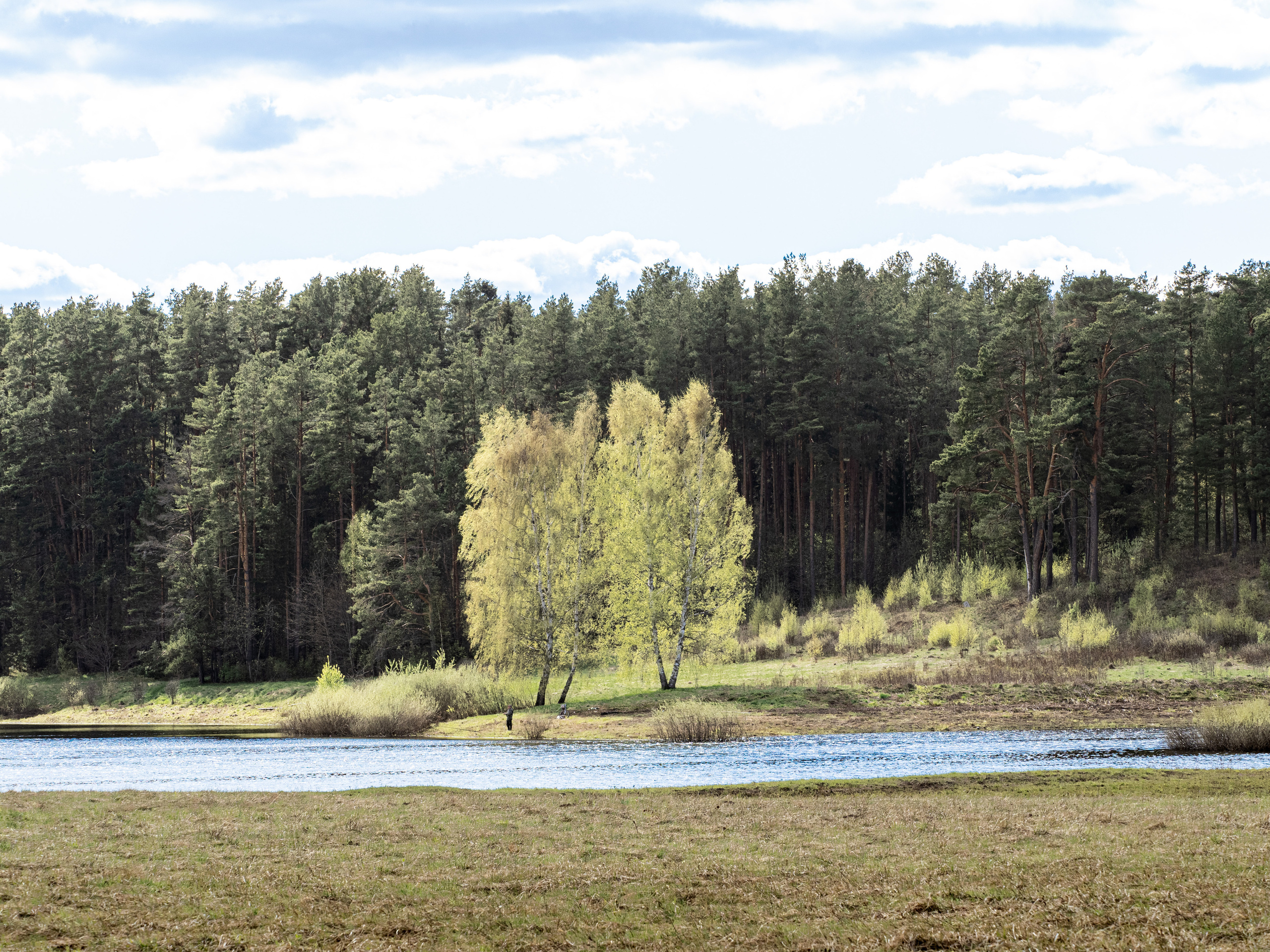 Пушкинские горы. Творческие сьемки
