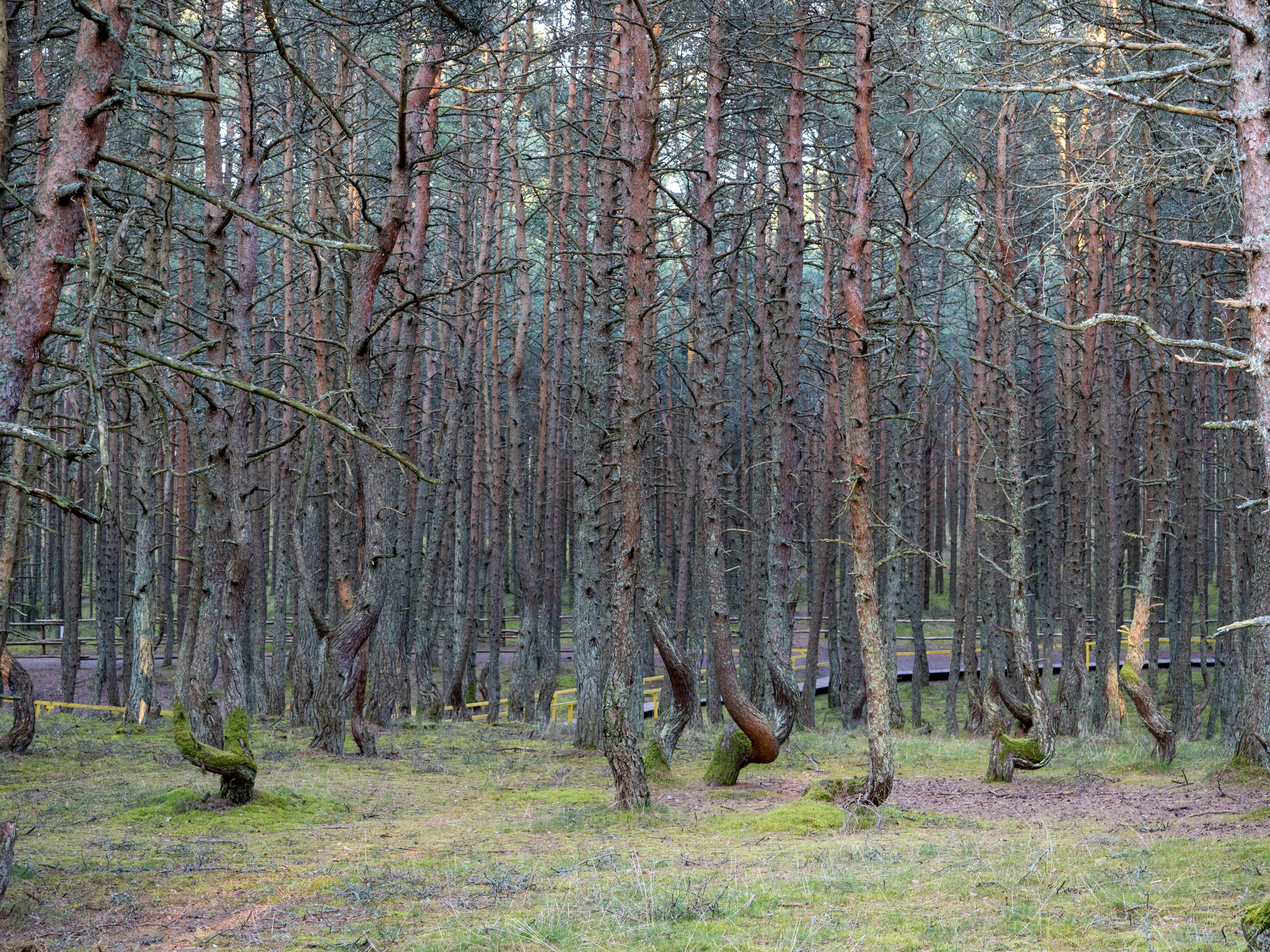 Калининград и окрестности. Творческие сьемки