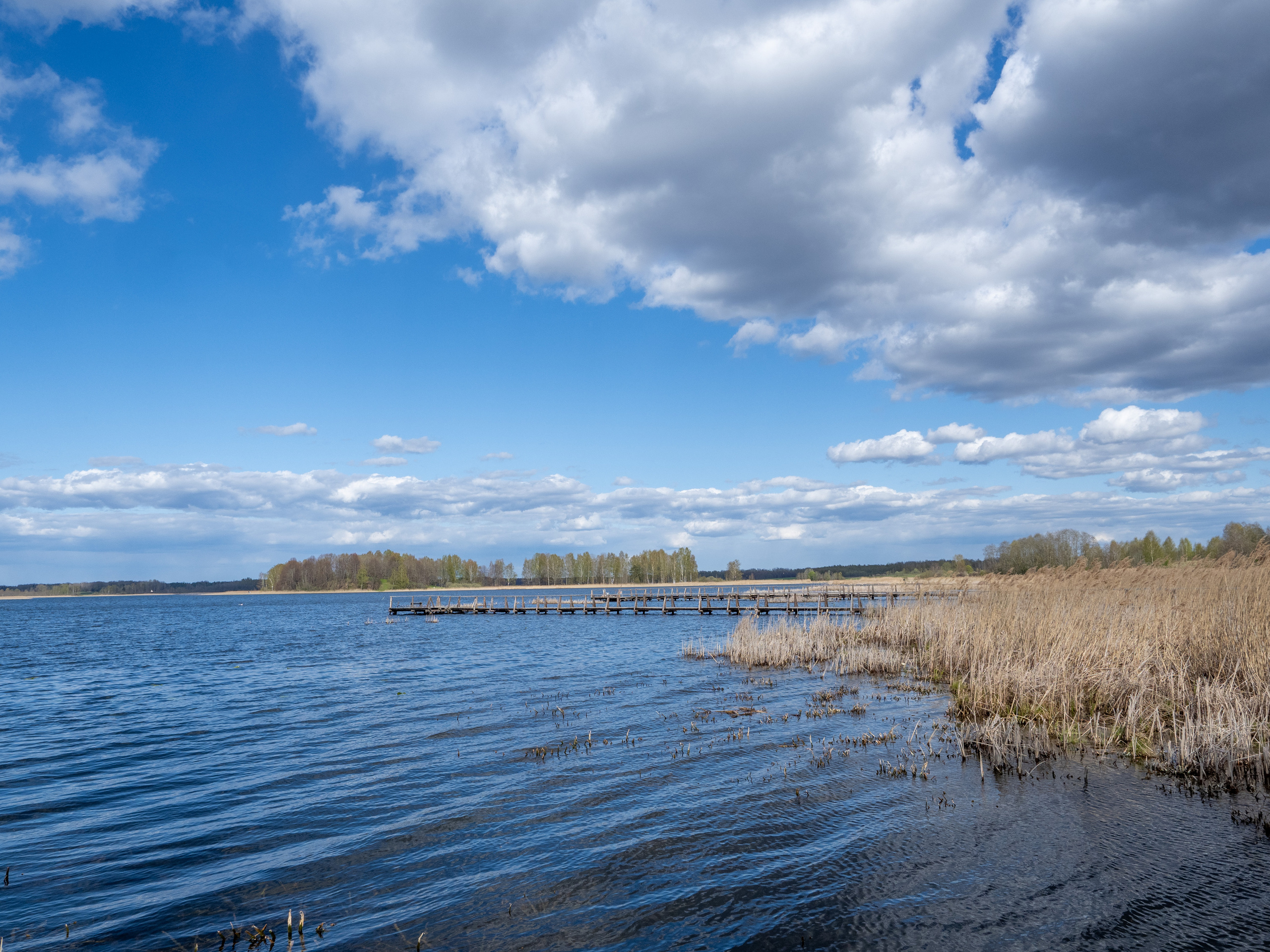 Пушкинские горы. Творческие сьемки