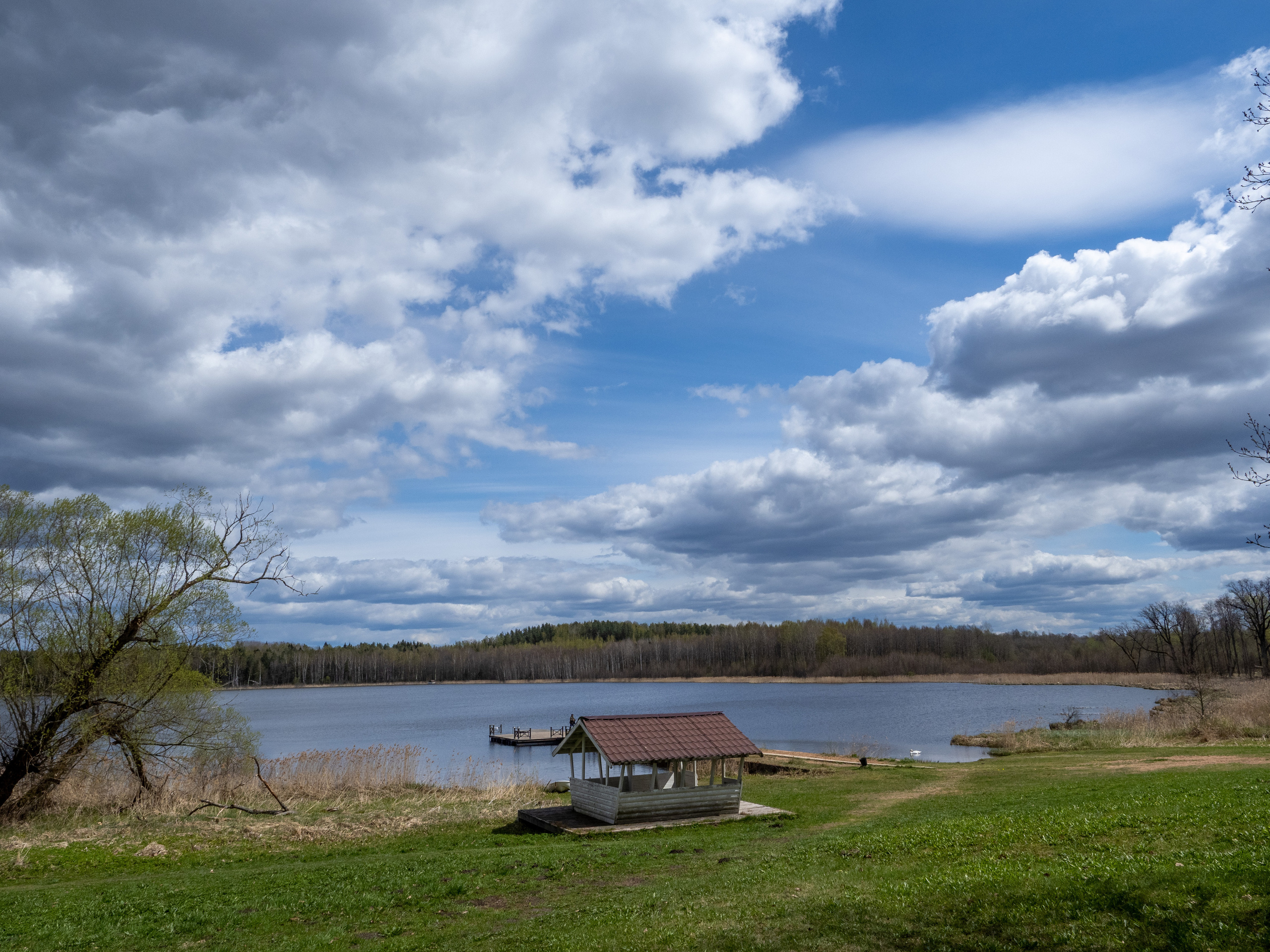 Пушкинские горы. Творческие сьемки